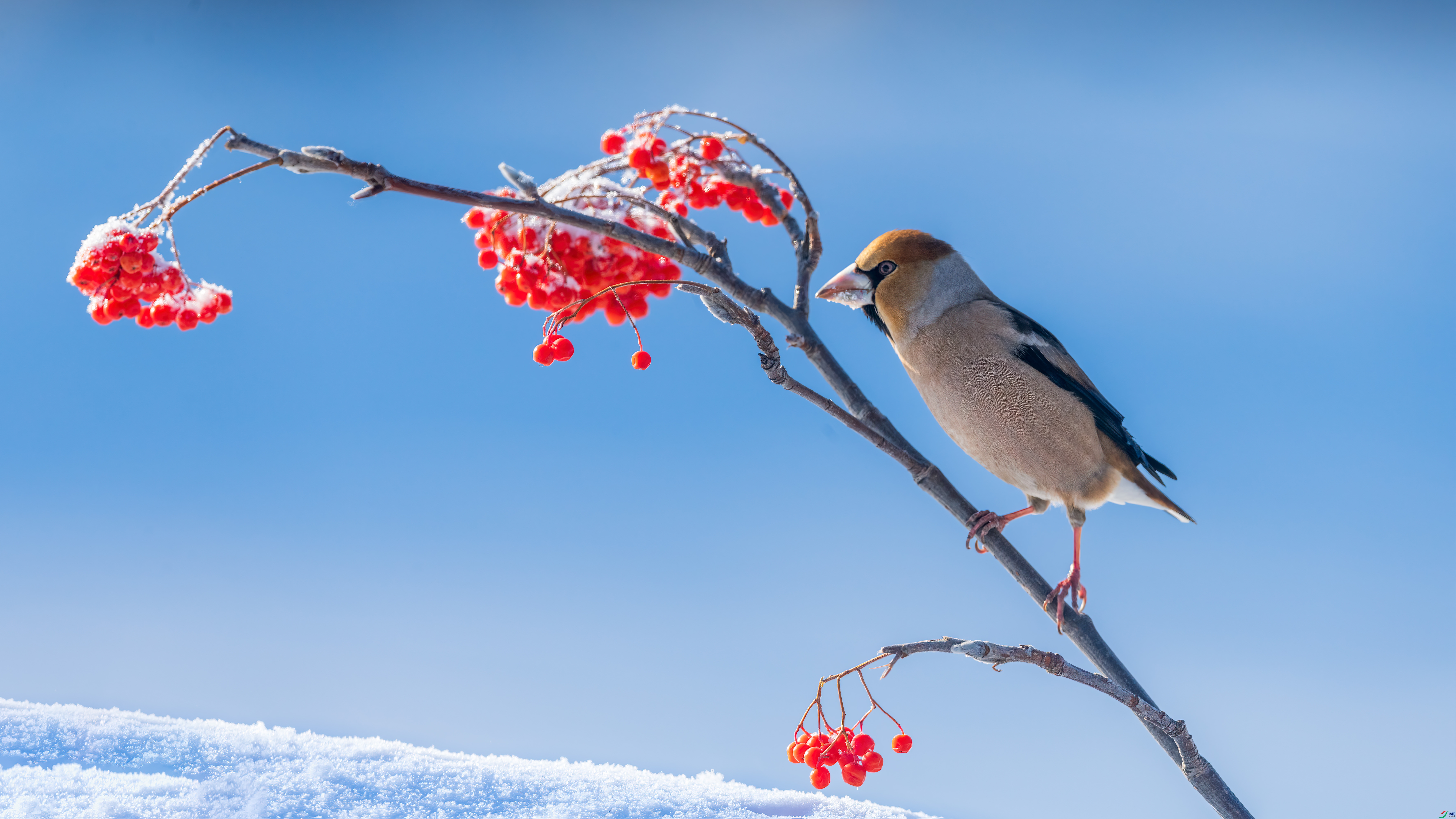 DSC_3871-0.jpg