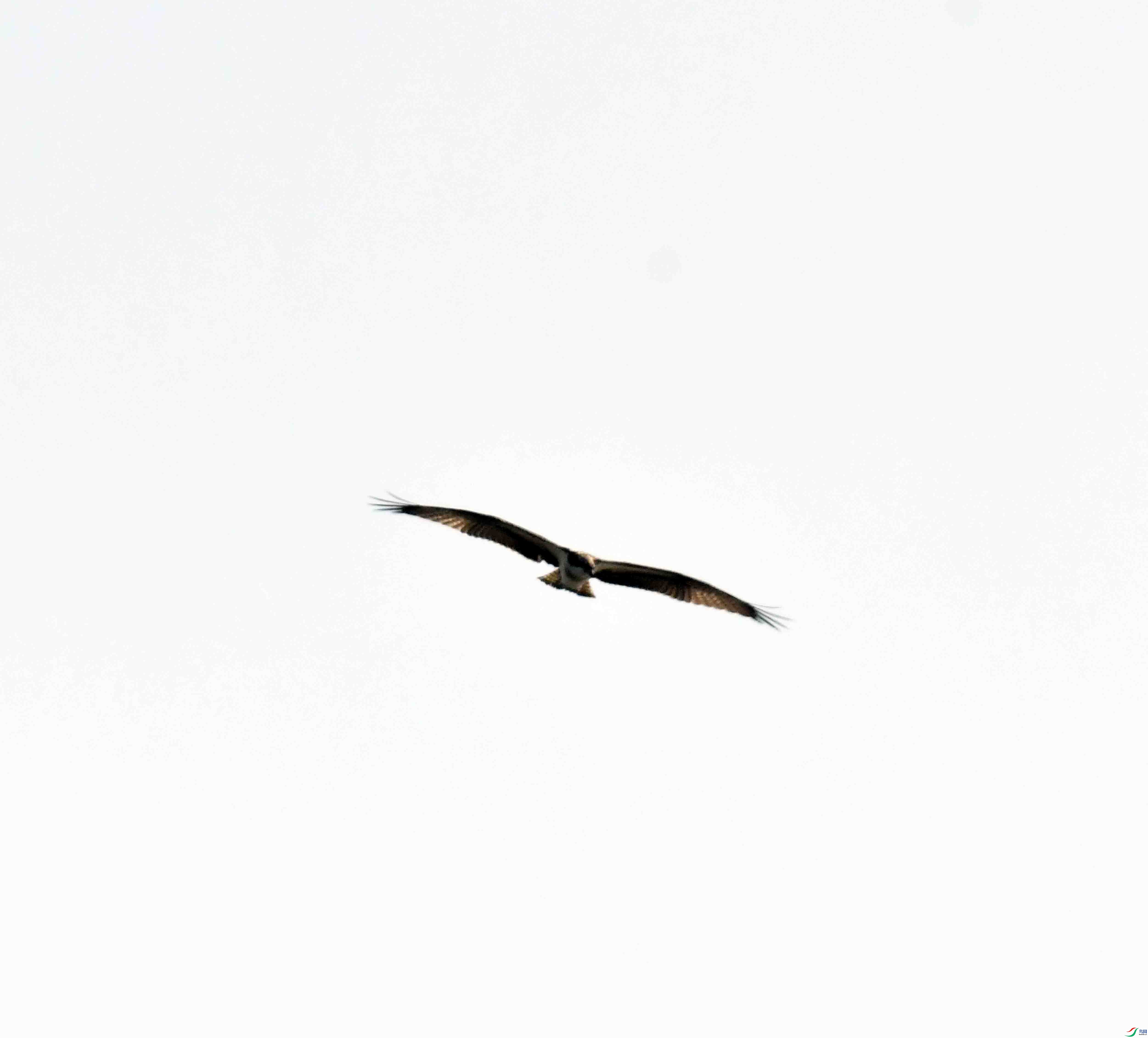 DSC_5213.JPG