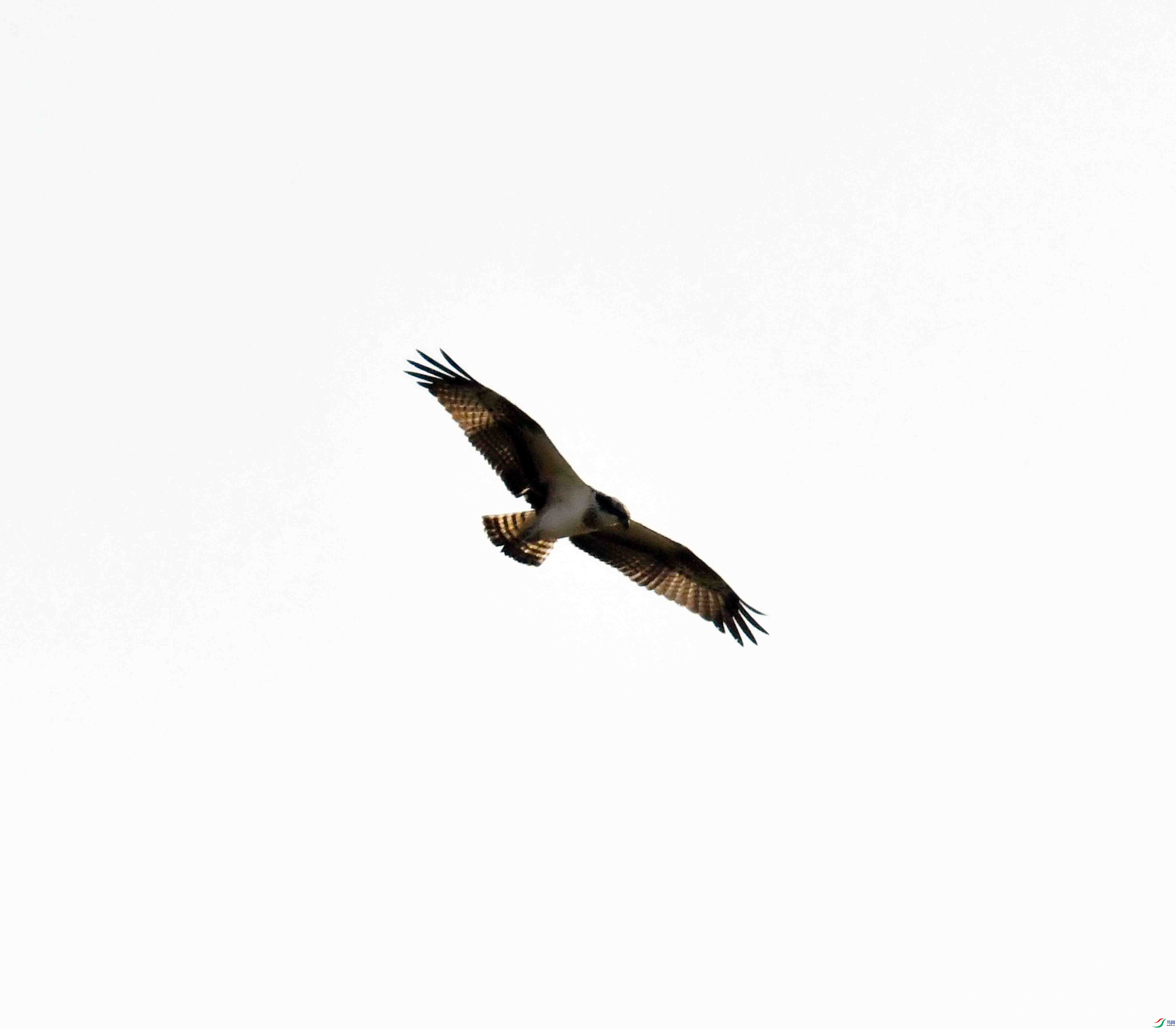 DSC_5216.JPG