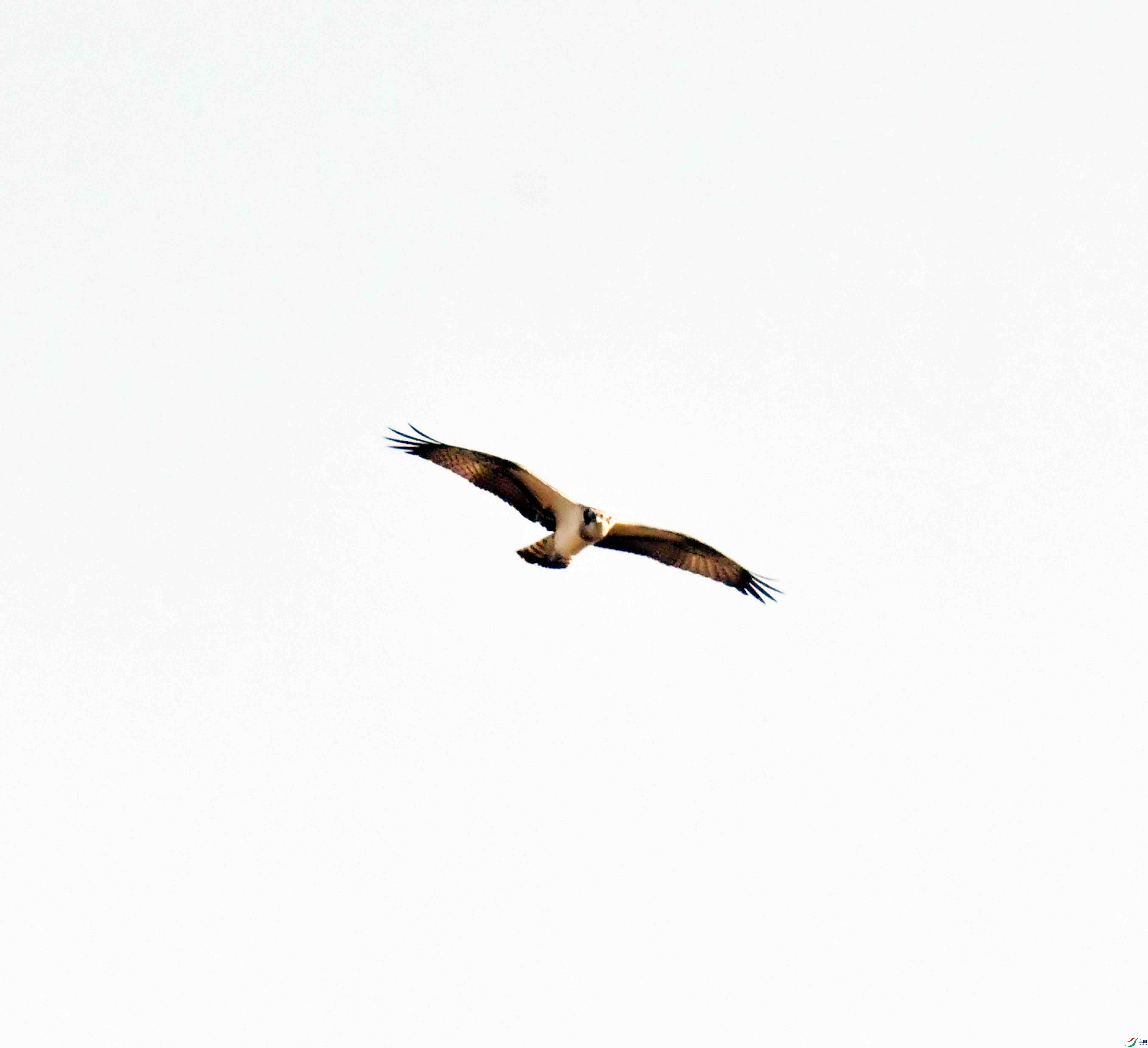 DSC_5279.JPG