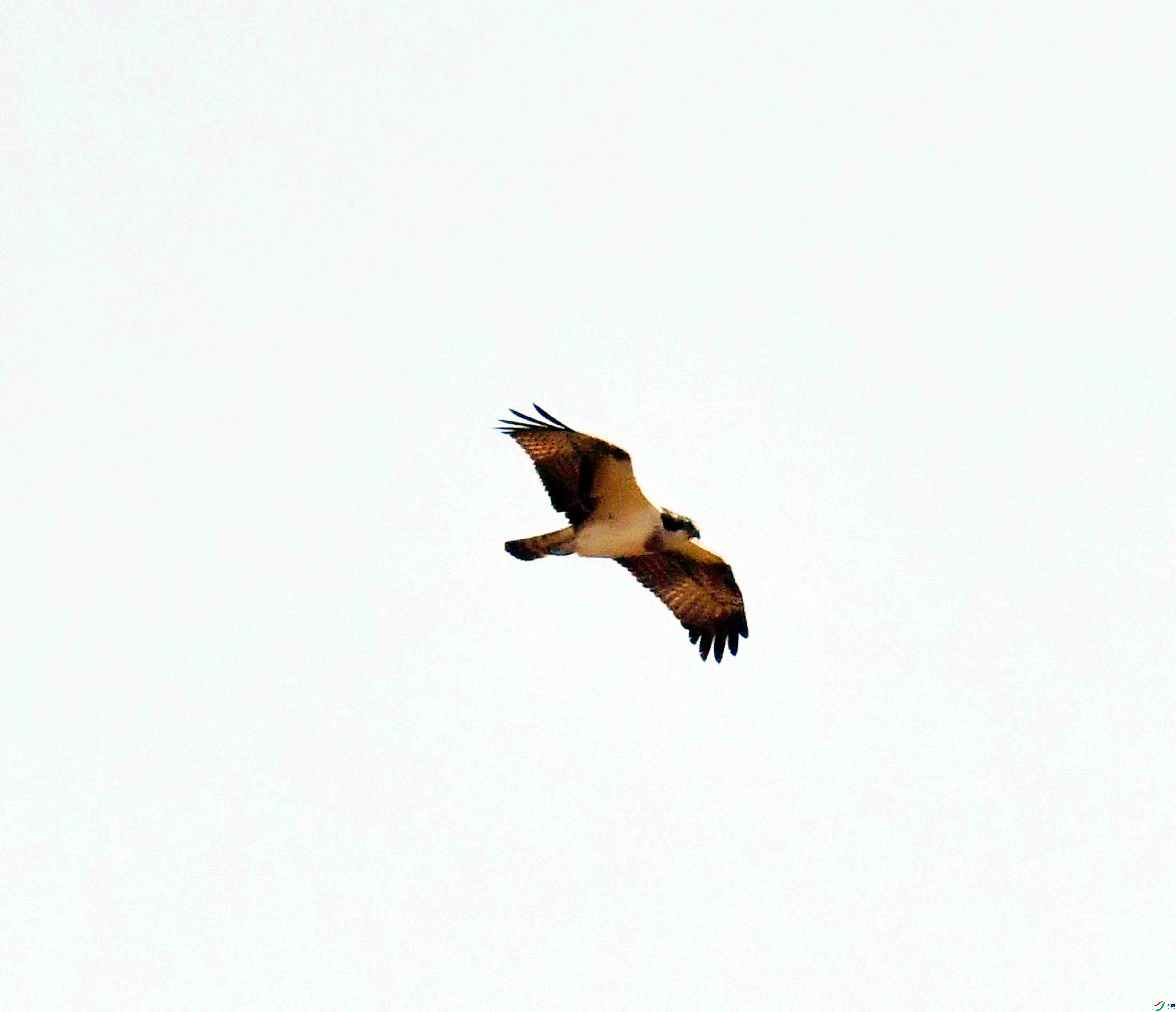 DSC_5292.JPG