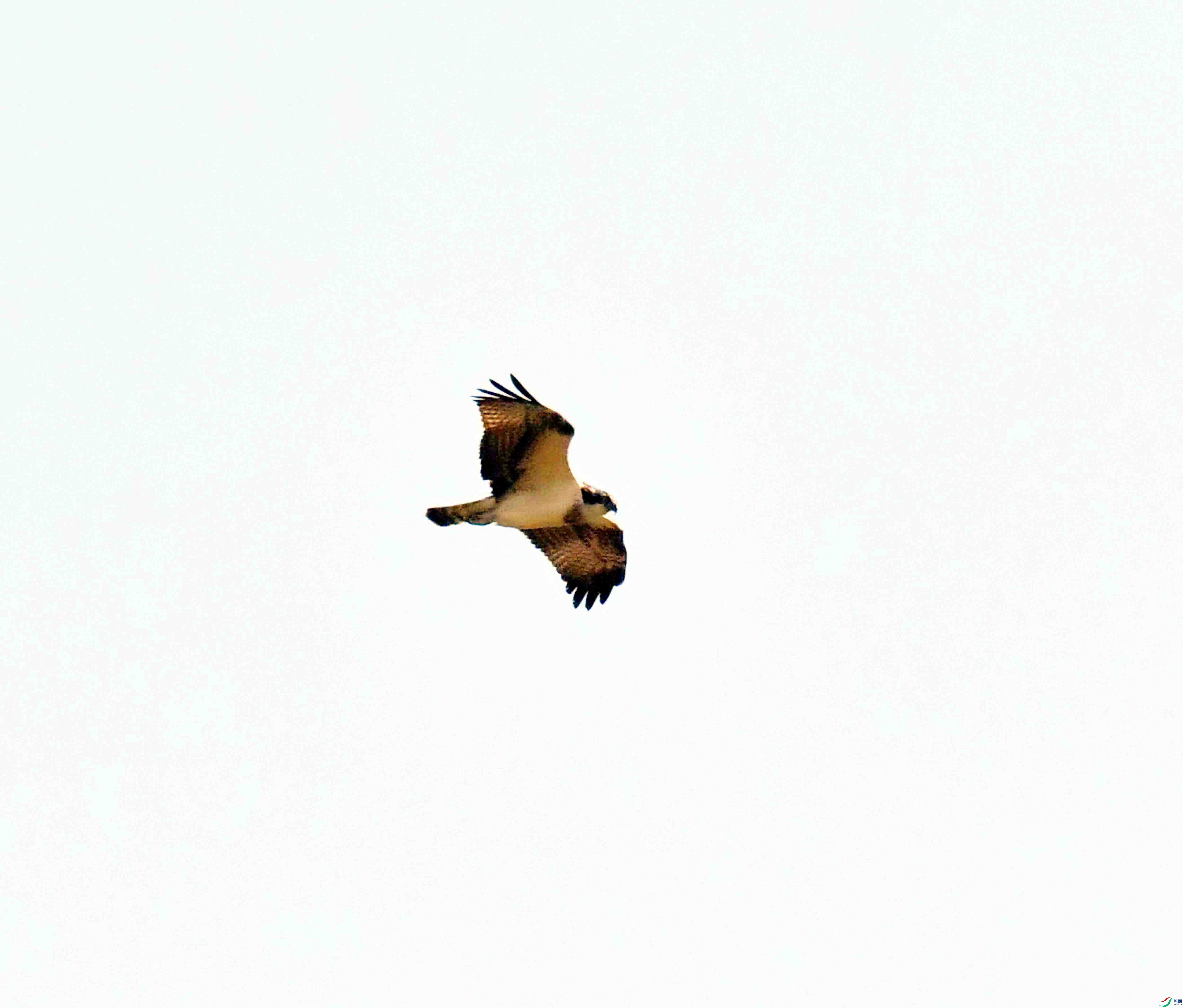 DSC_5295.JPG