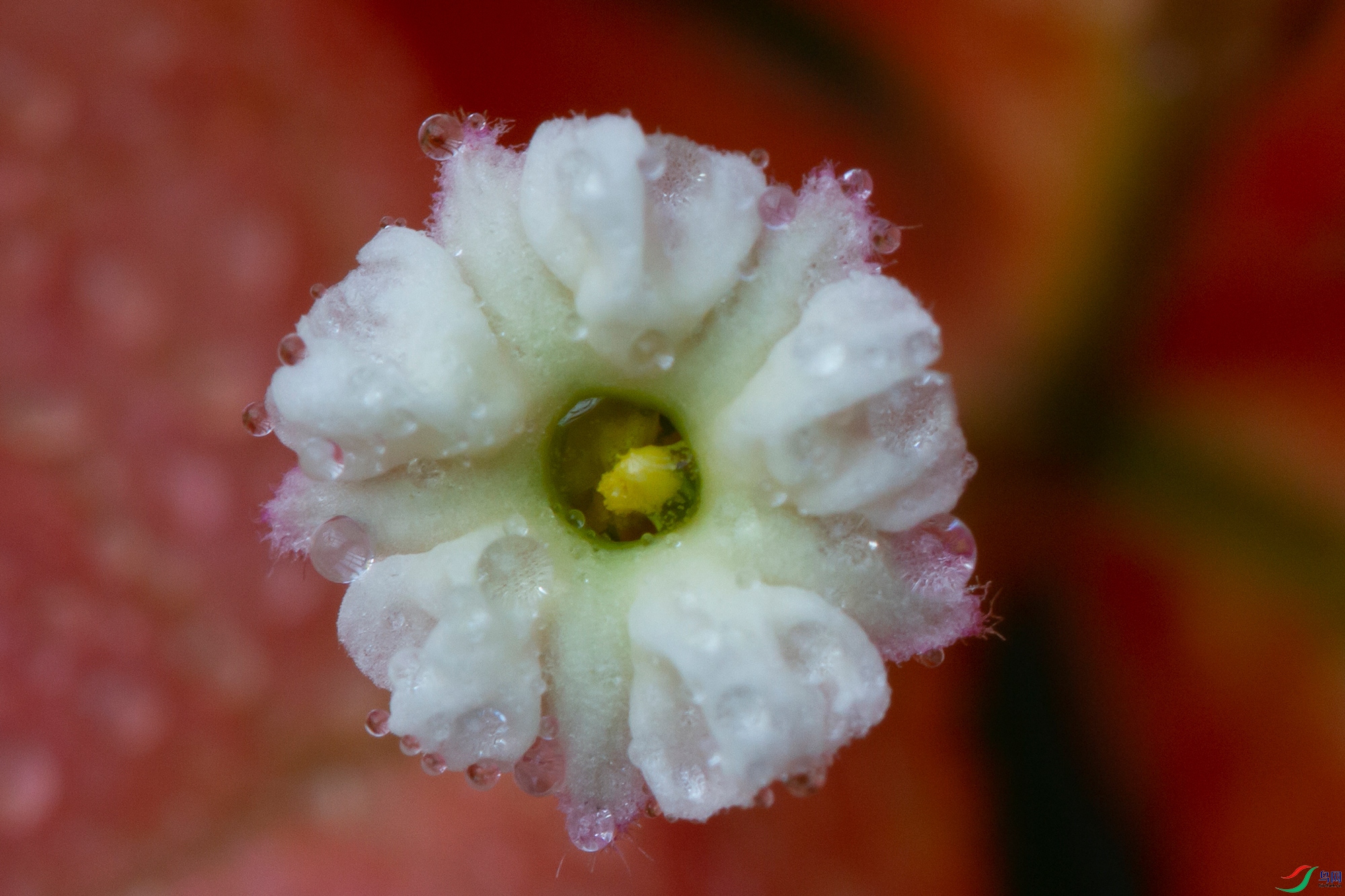 _MG_3861.jpg