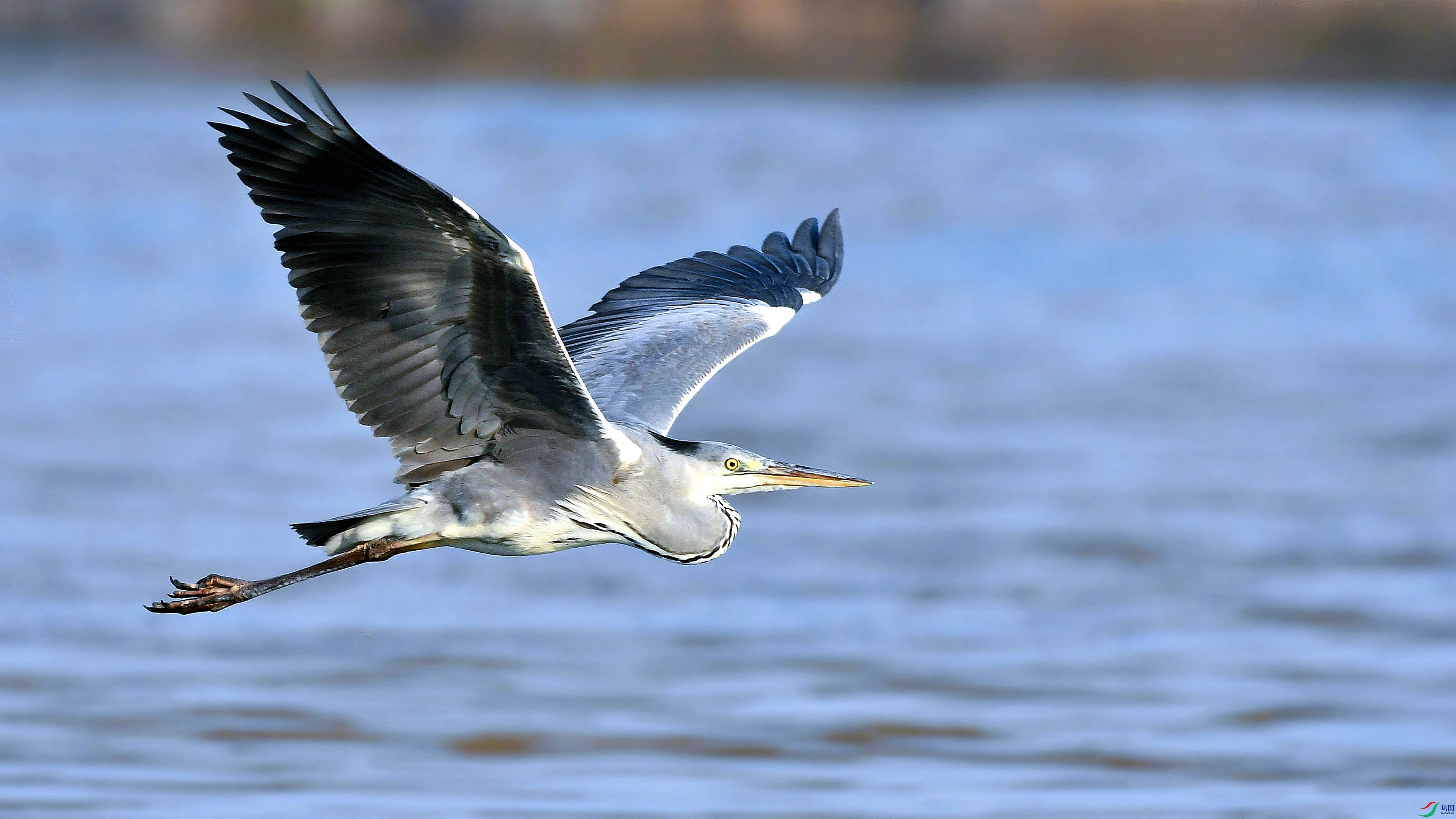 DSC_9933.JPG
