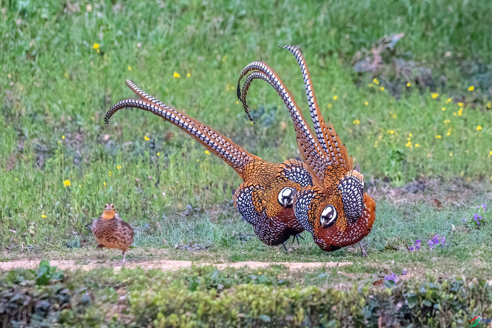 DSC_1160.jpg
