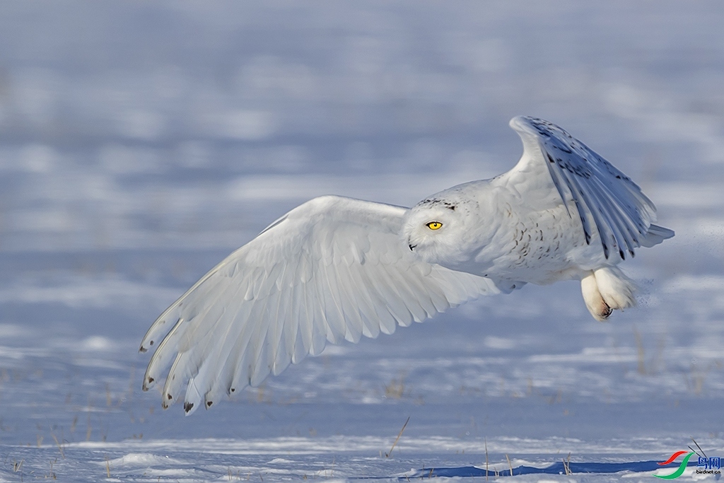 Ѱ��Ŀ�� ���� ���ַ� ��һ.jpg