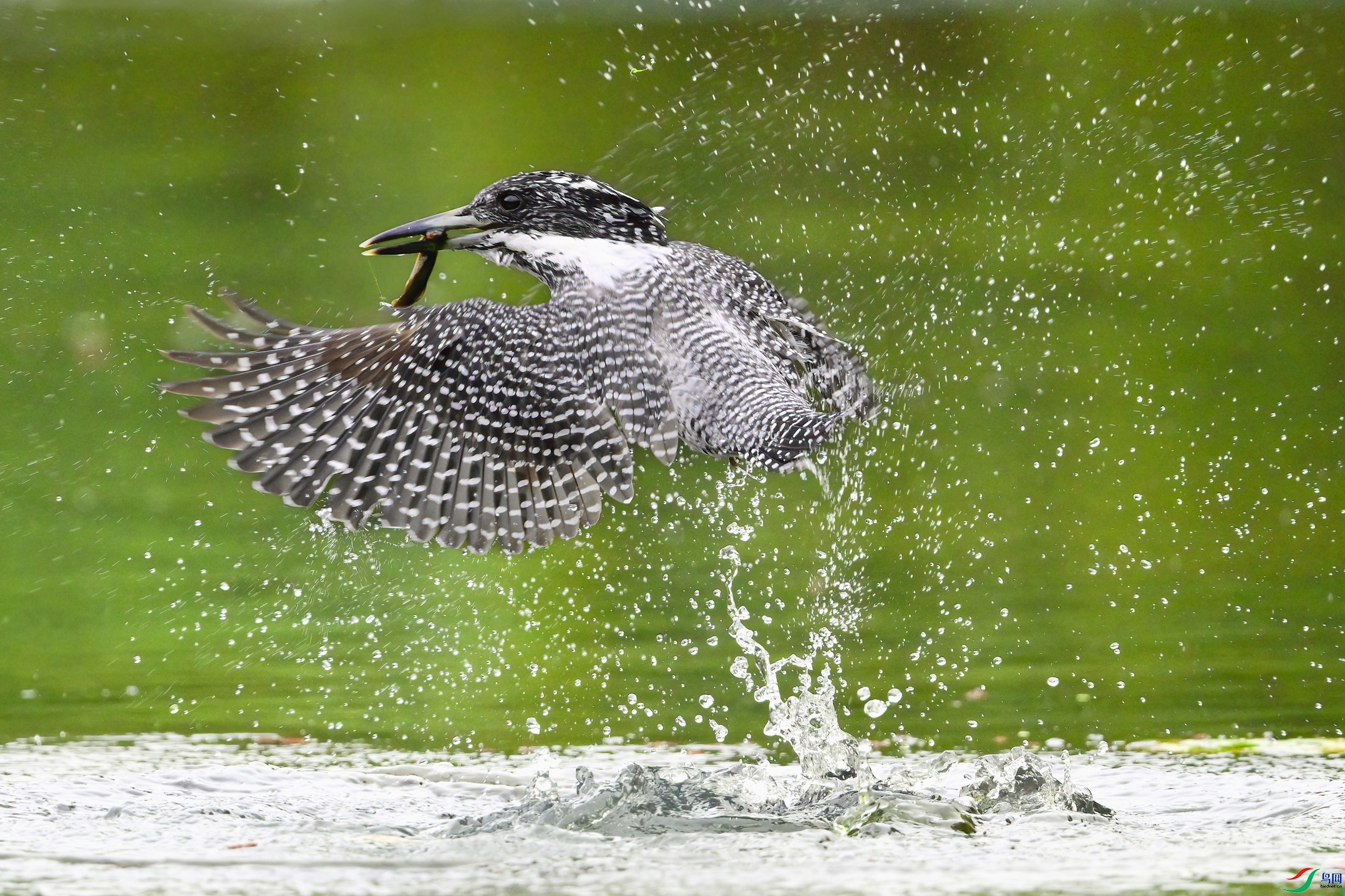 ��ˮ ���� �չ�����-����  �ܶ�.jpeg