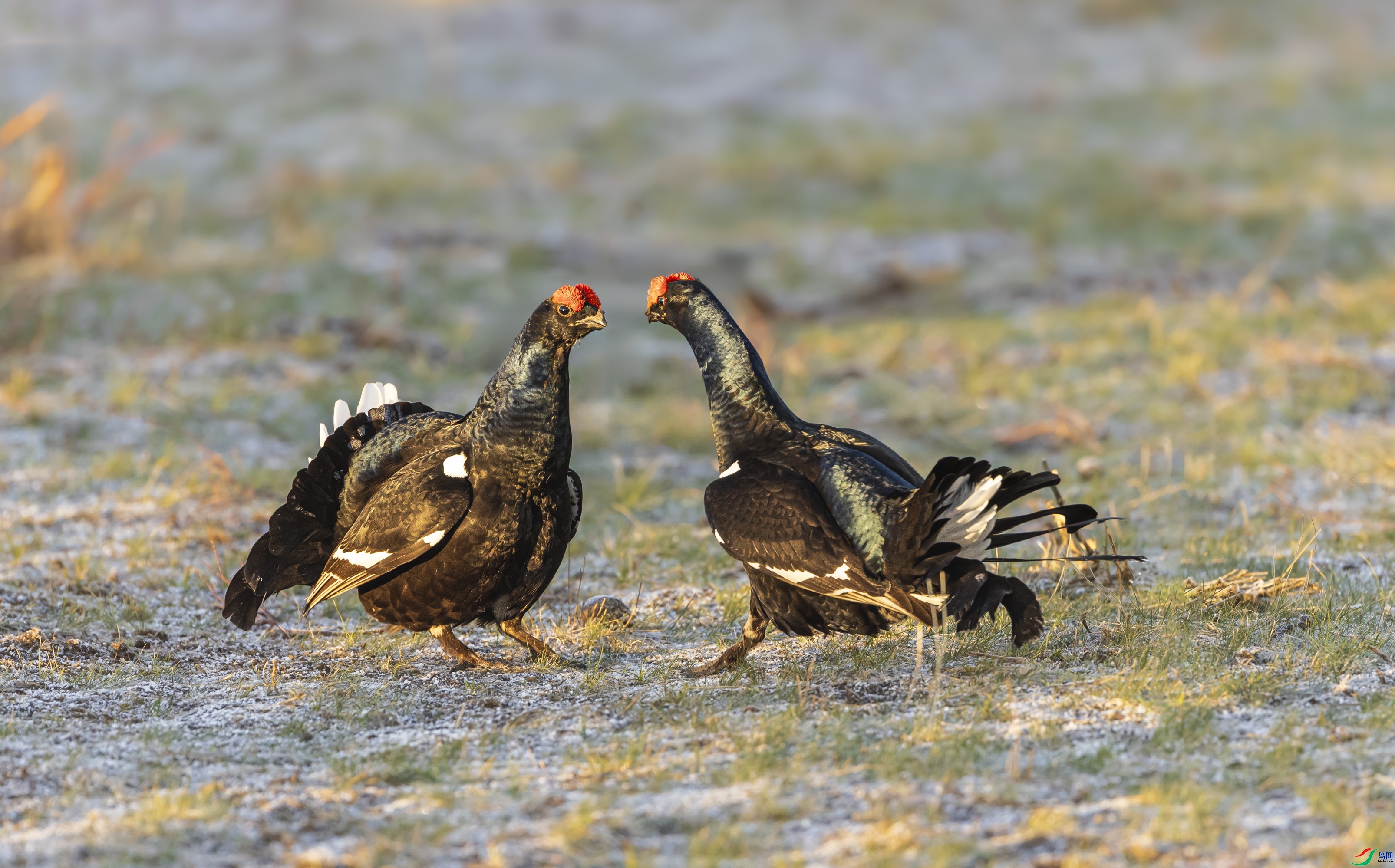 ս����  ���� ������ ����.jpg