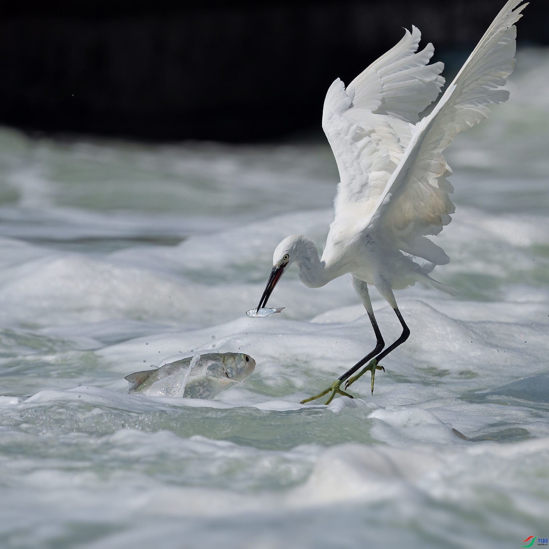 ����ǿʳ ���� ���ž��� ����.jpg