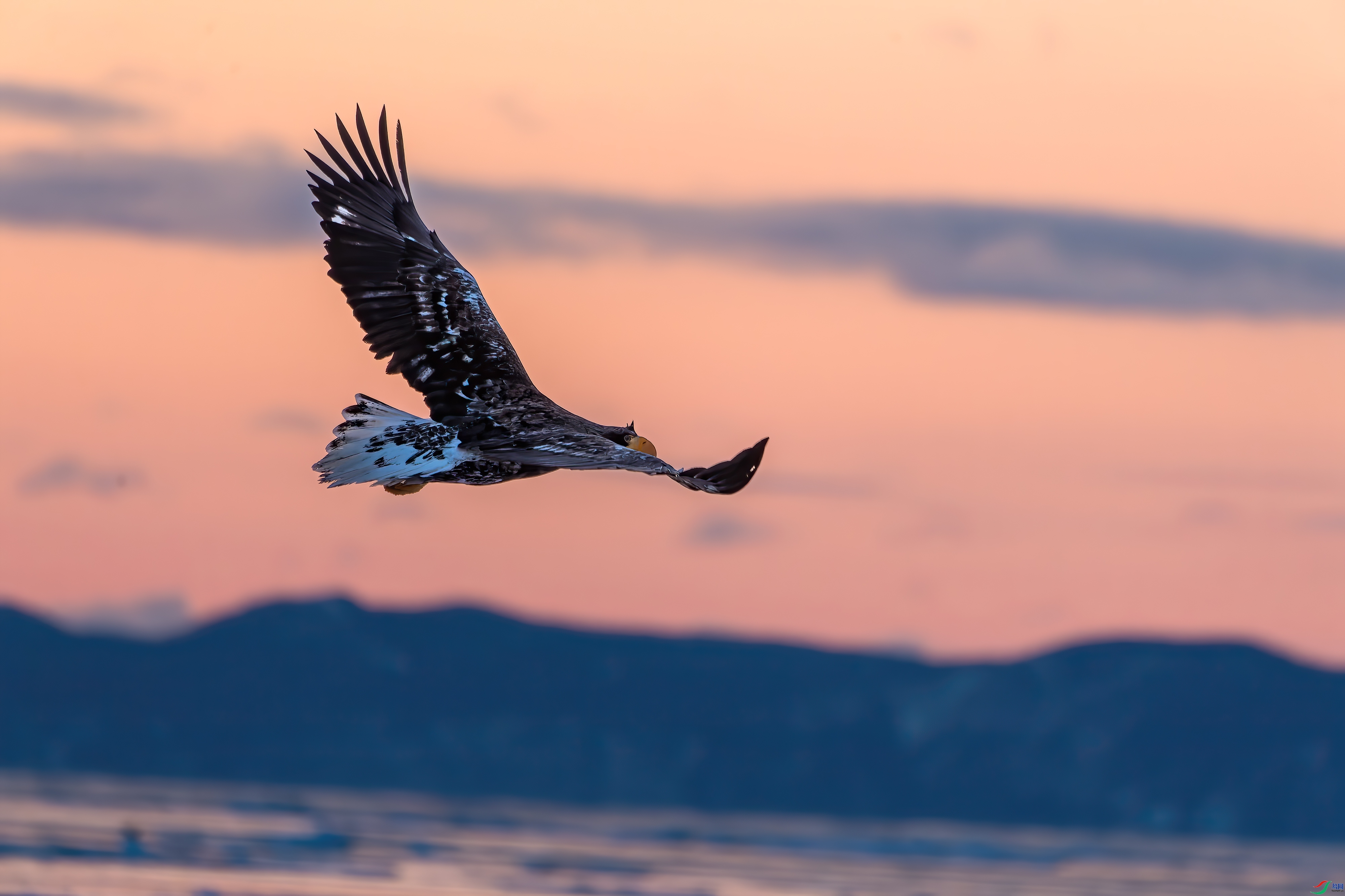 ������ϼ����  ���� ���� ����.jpg