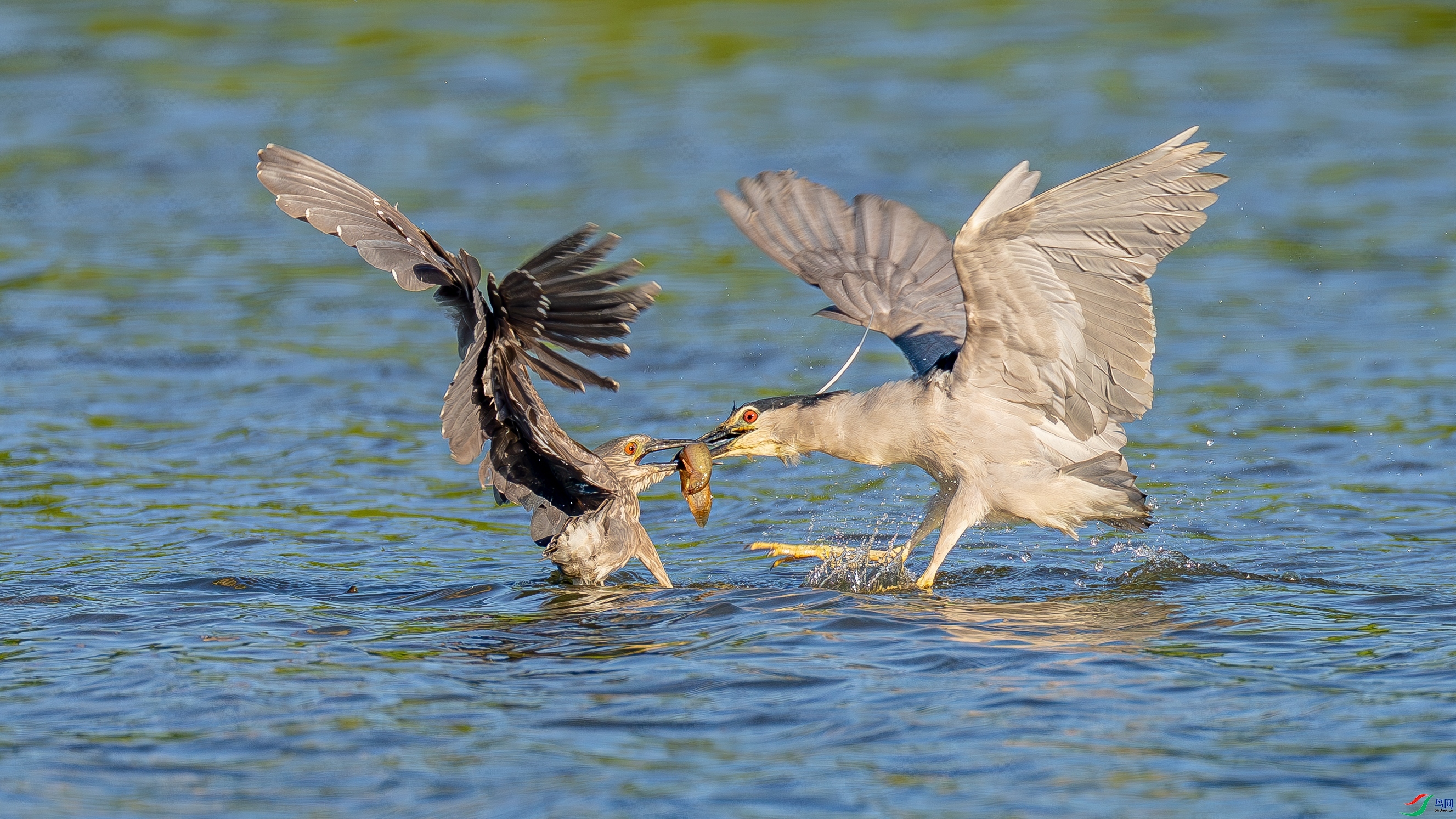 ��  ���� ������ ����.jpg