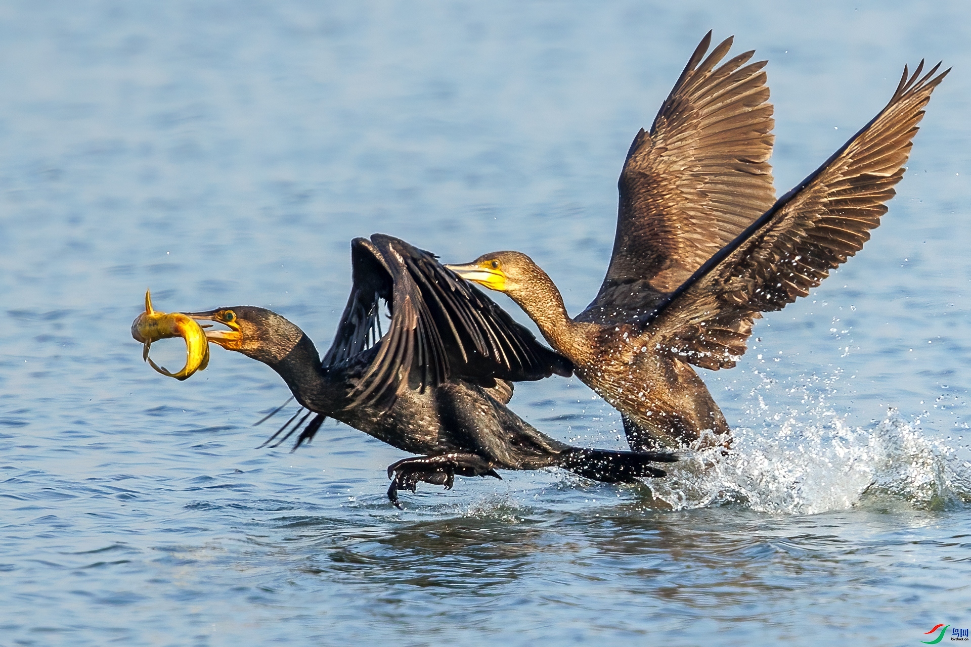 β��׷��  ���� ����.jpg
