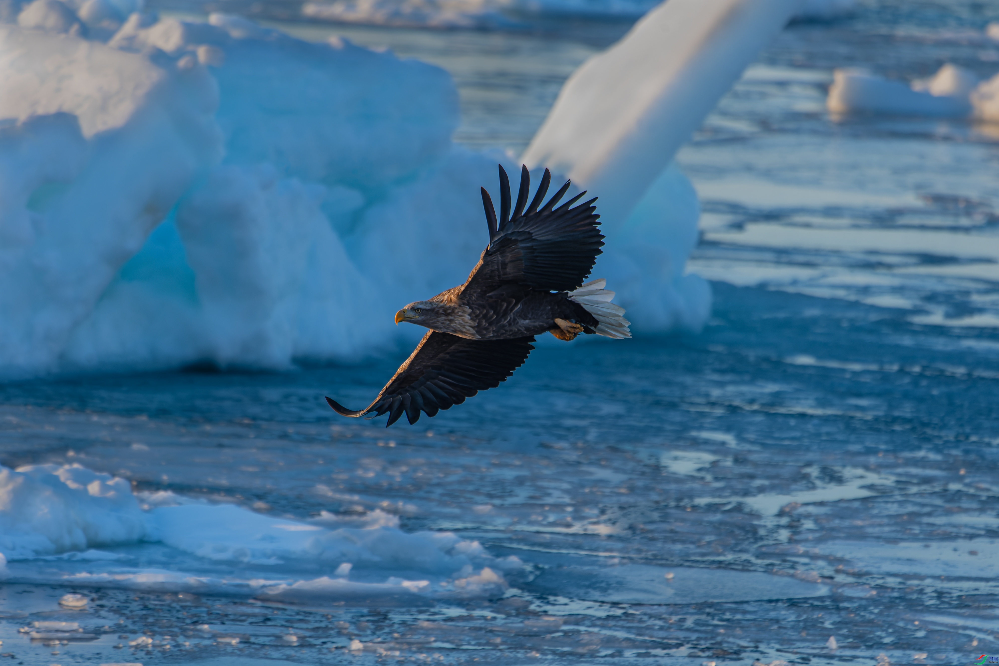 ��Խ���� ���� ���� ����.jpg