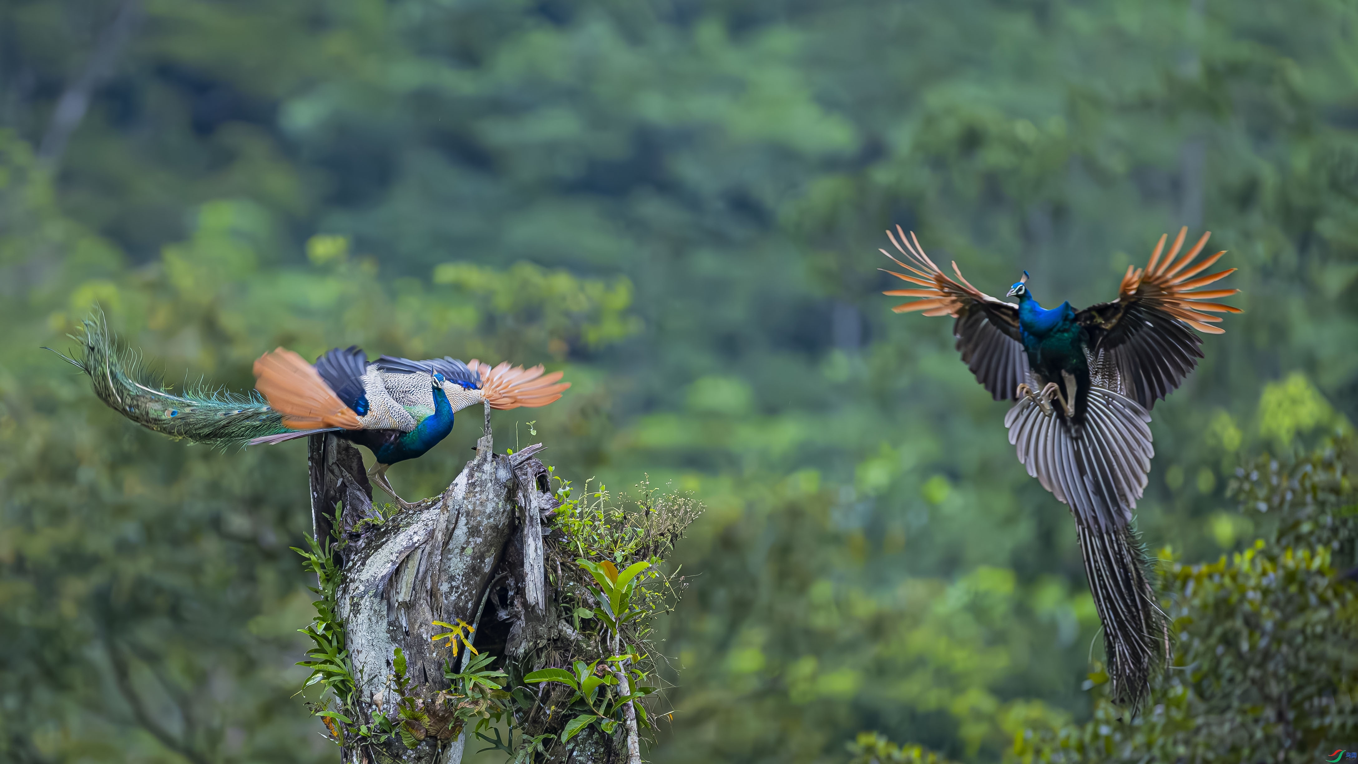 ���  ���� ɳ���Խ�  ����.jpg