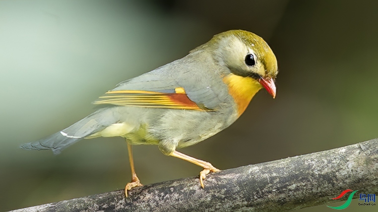 ������˼�� (2) ����.jpg