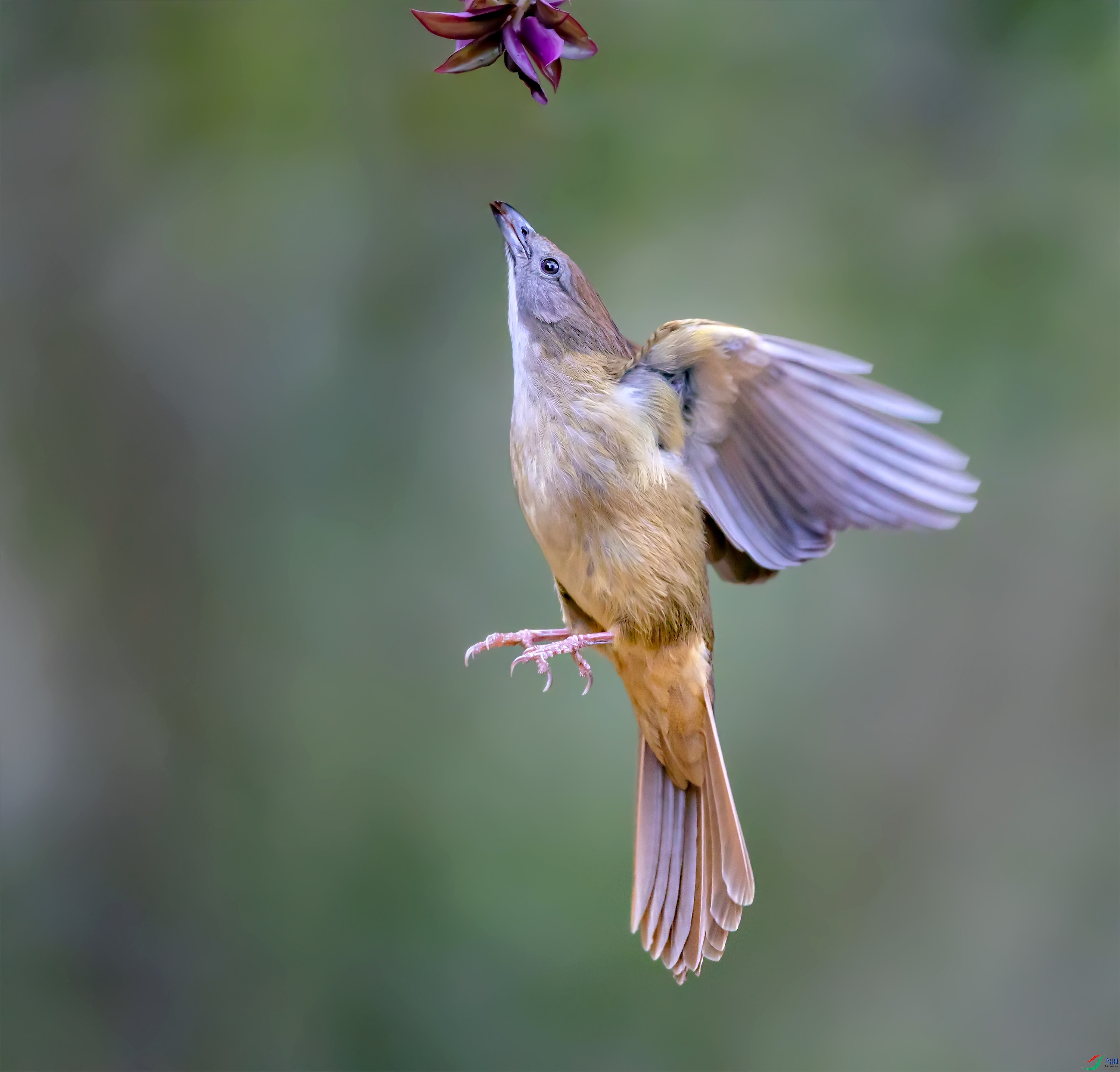 7R8A4257.jpg