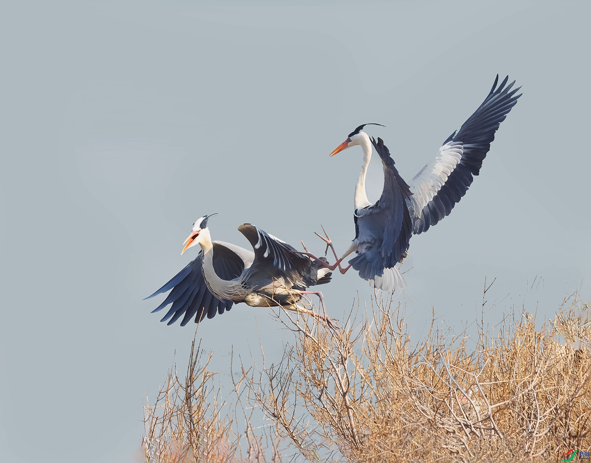 019A8722 ����.jpg