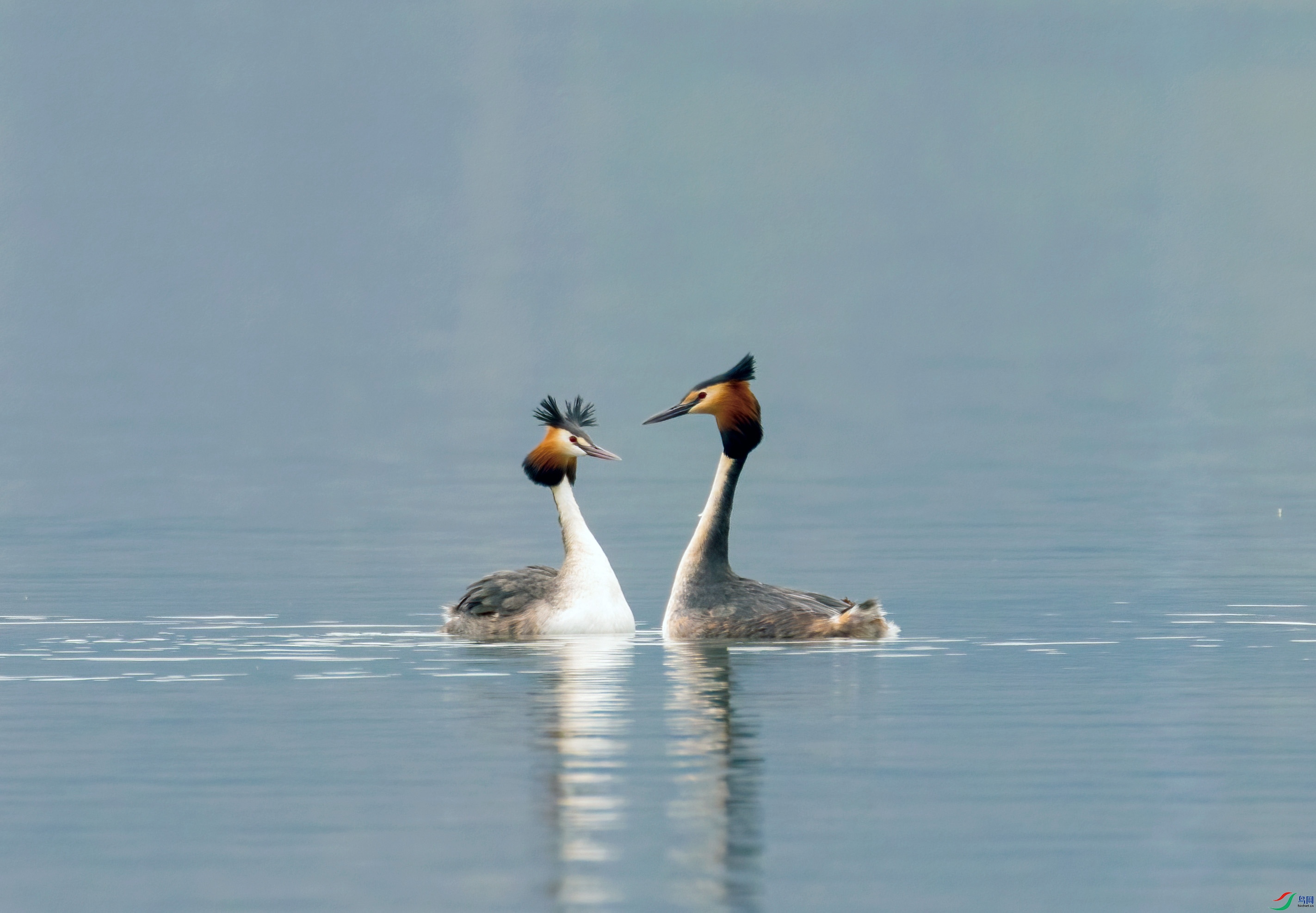 C87A7749 ����_edit_182184192572721.jpg