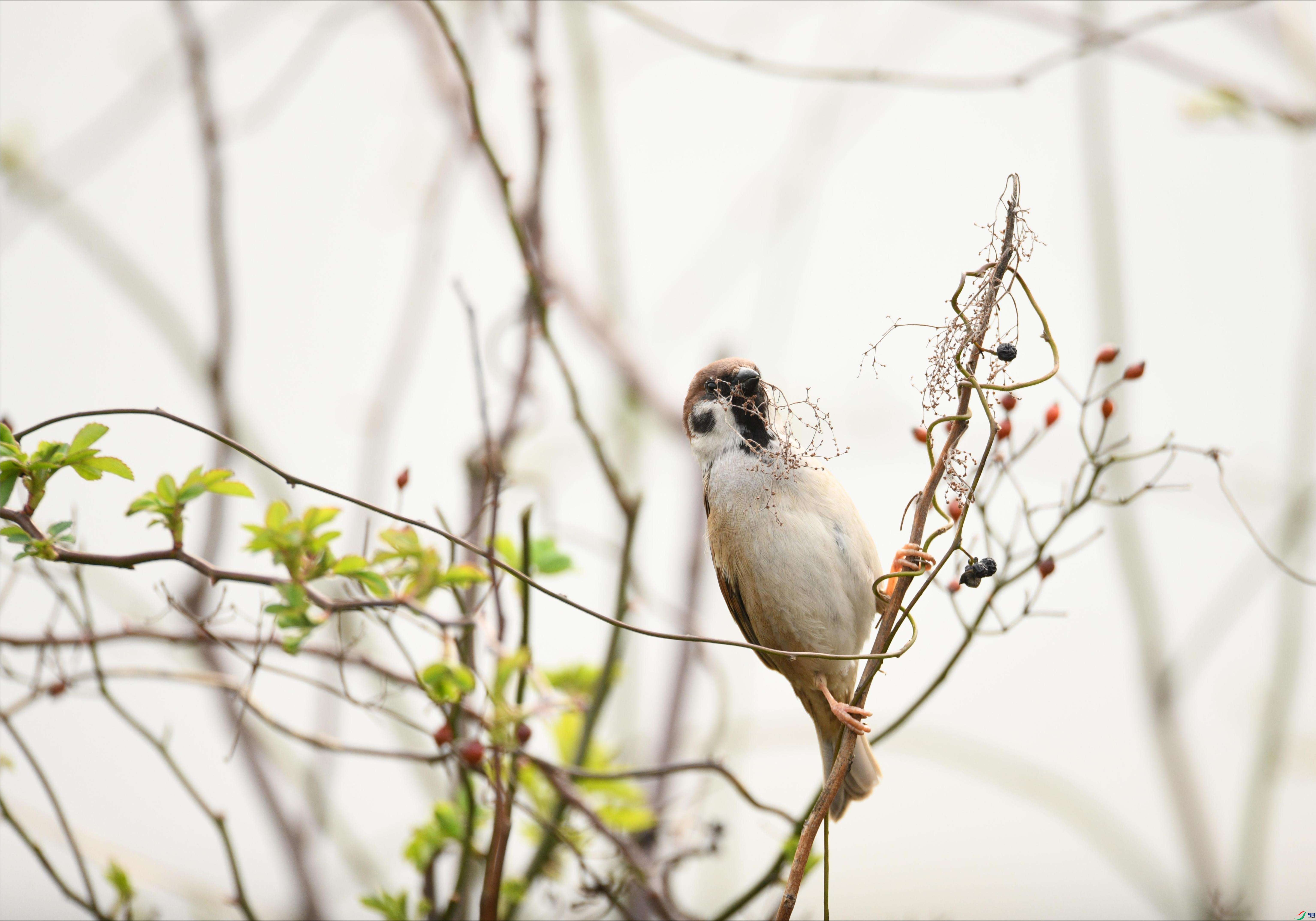 ��ȸ����1