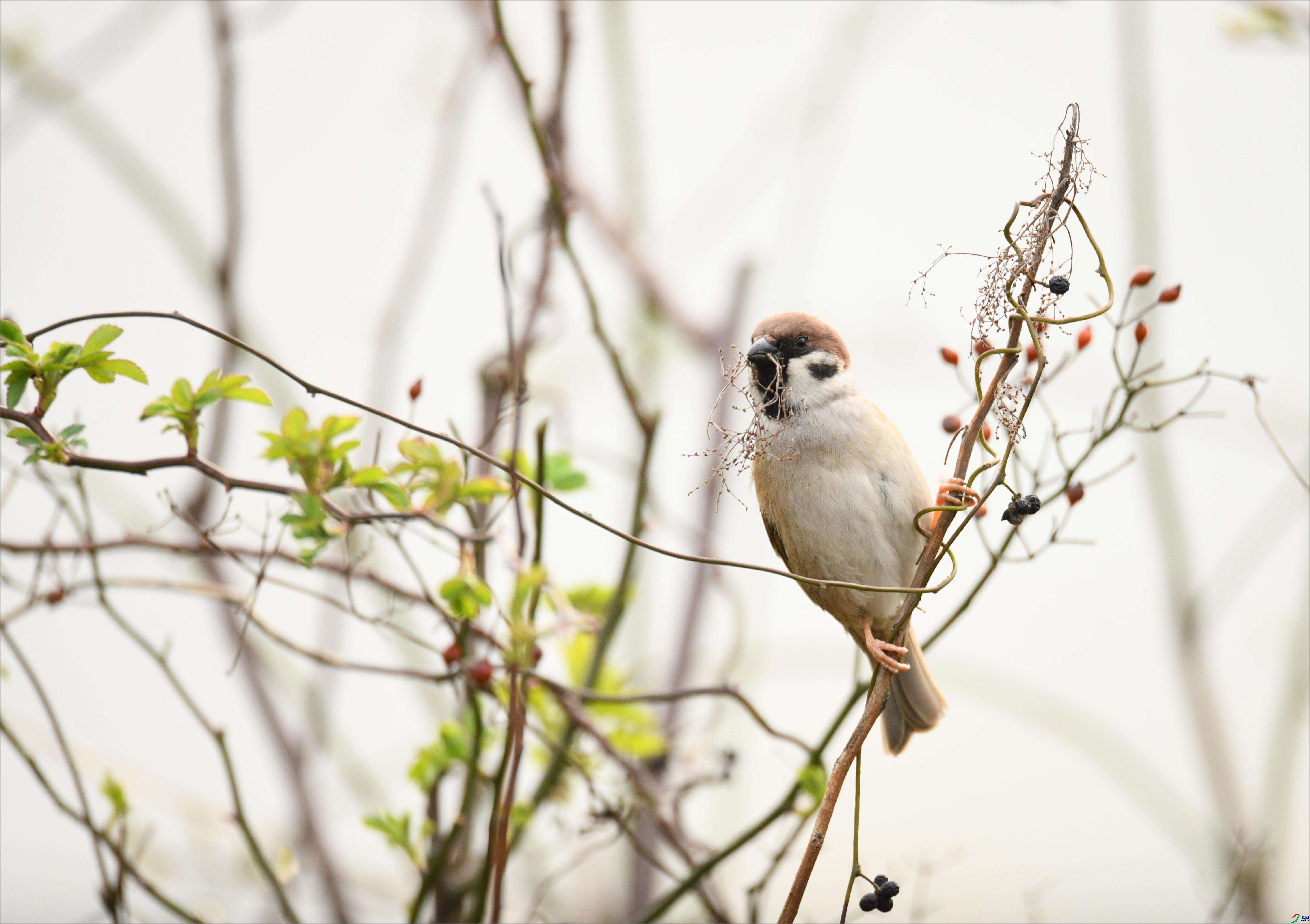 ��ȸ����3