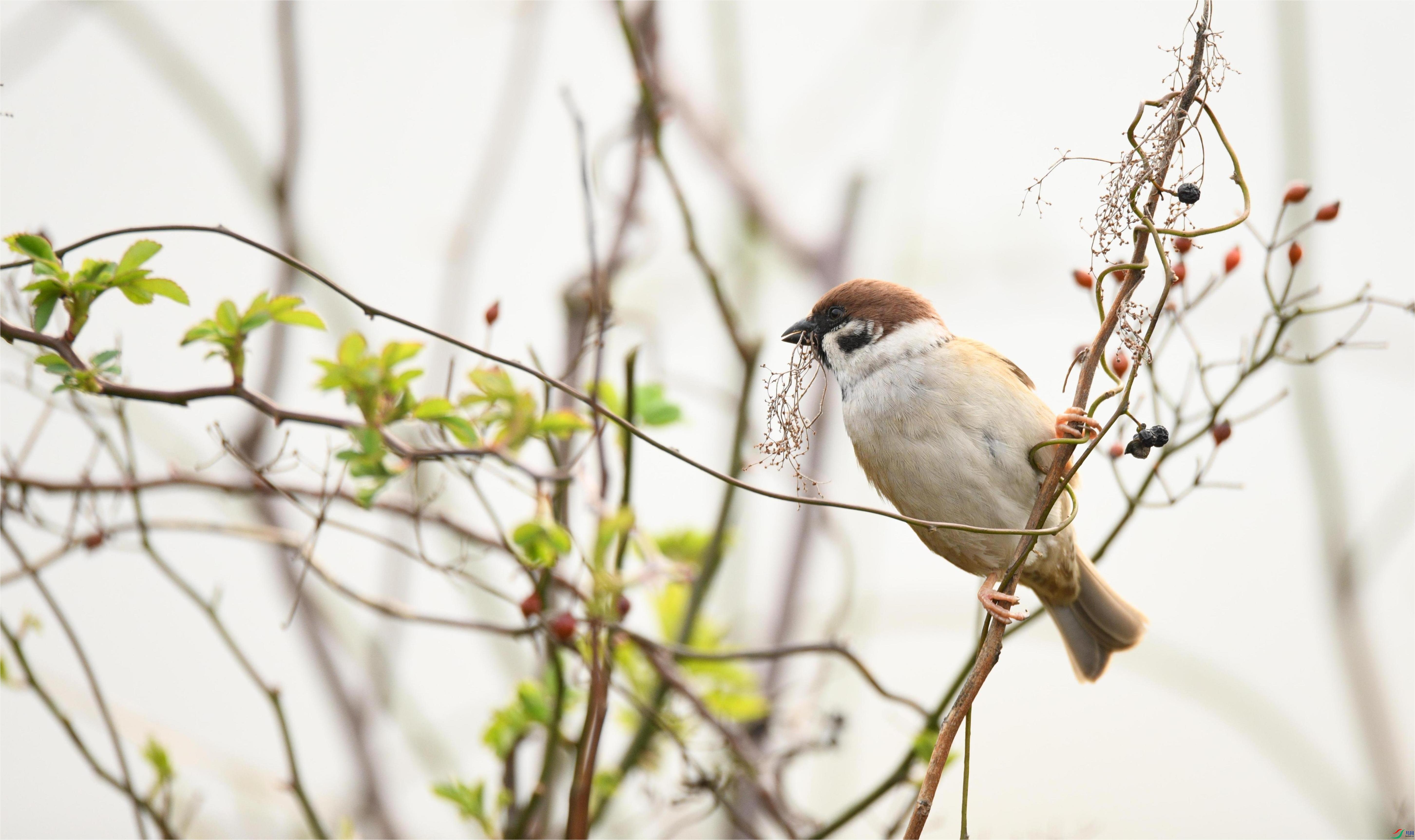 ��ȸ����4