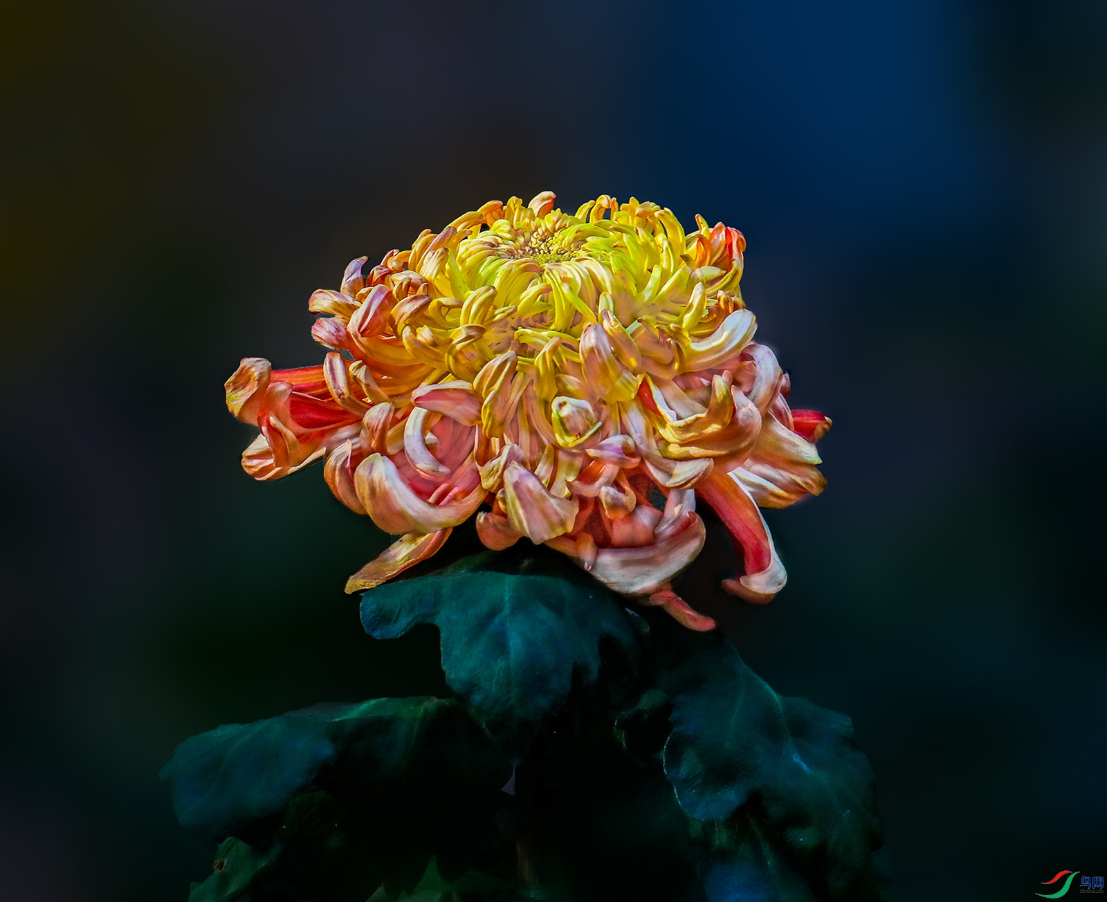 0000583A0337 �������� 1000k.jpg