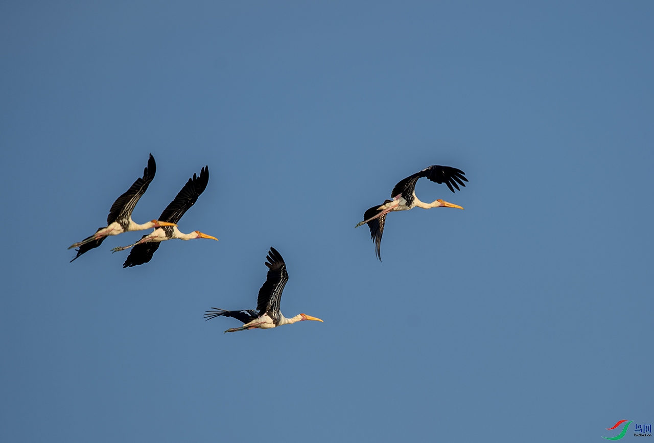 DSC_7569z.jpg