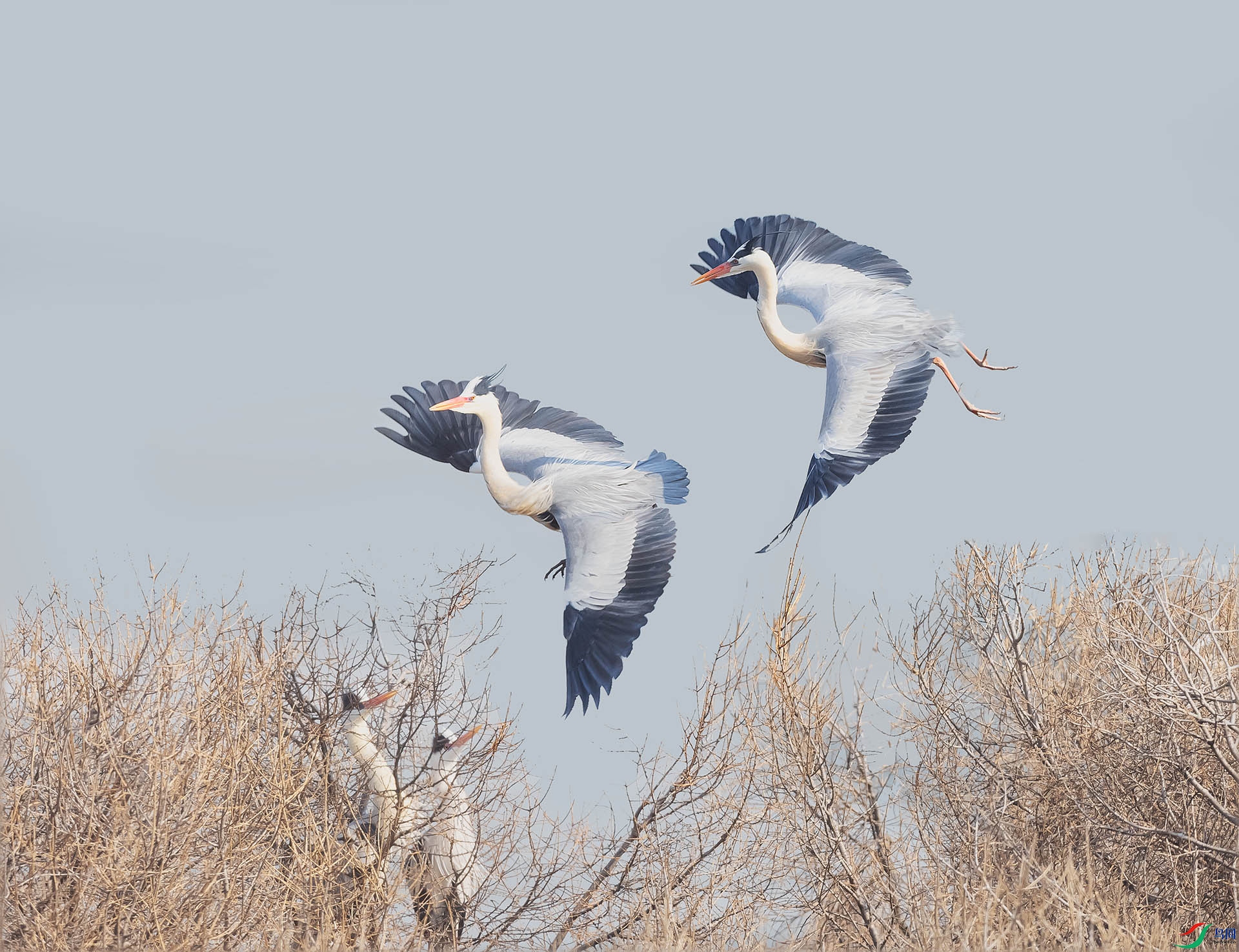 019A8729 ����.jpg