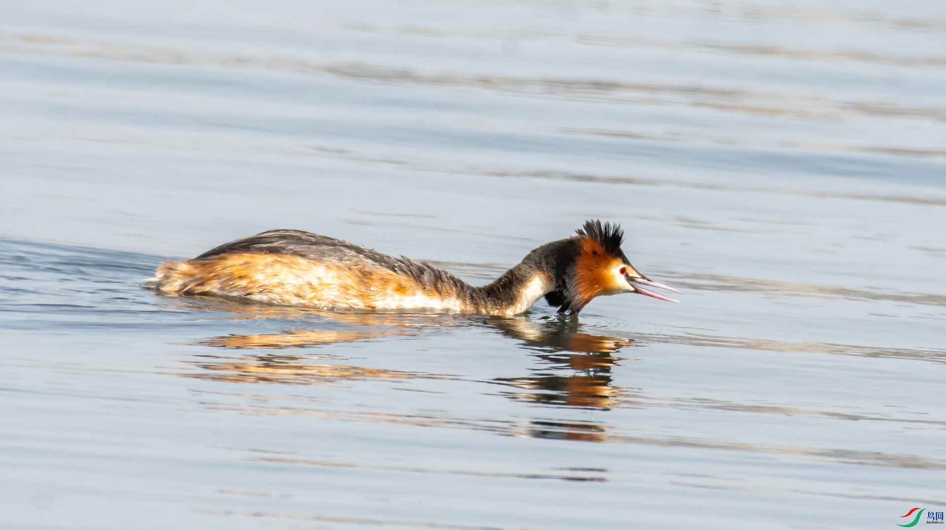 DSC_5252.jpg