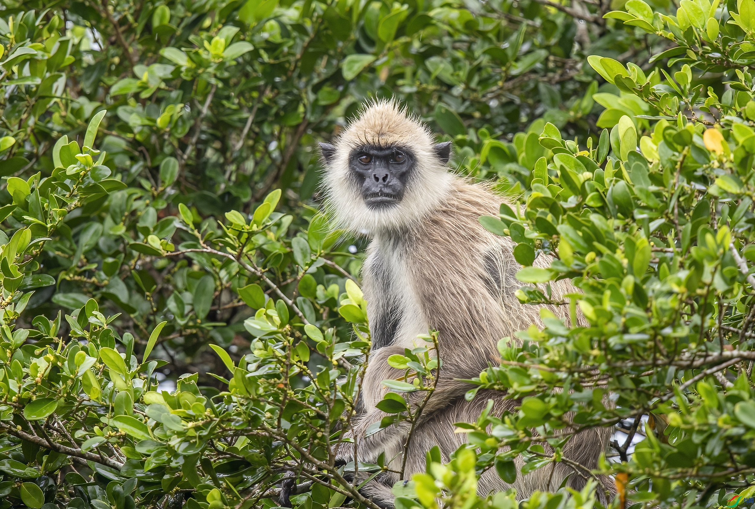 AC3I5698 ����.jpg