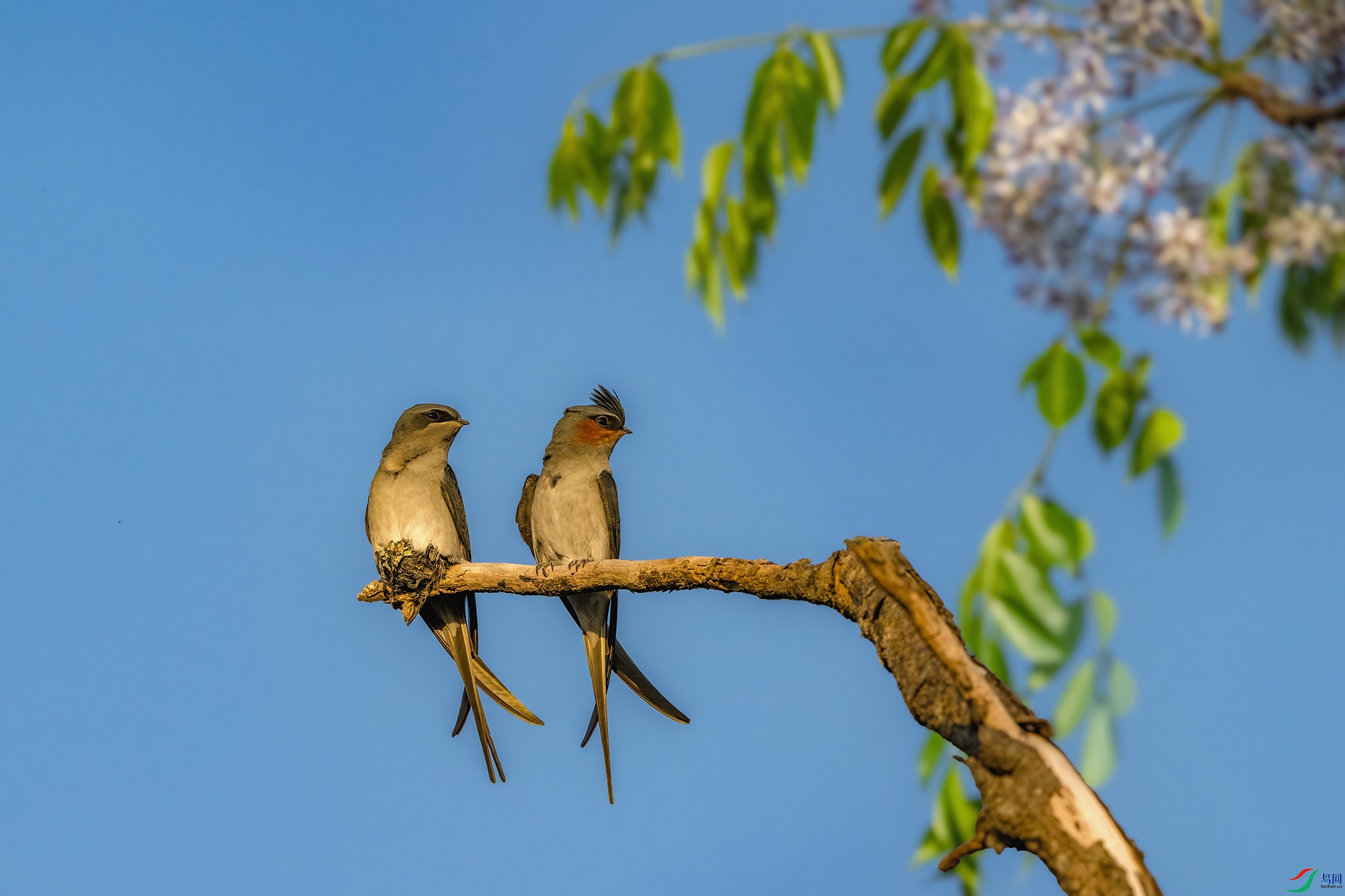 _DSC4909 ����.jpg