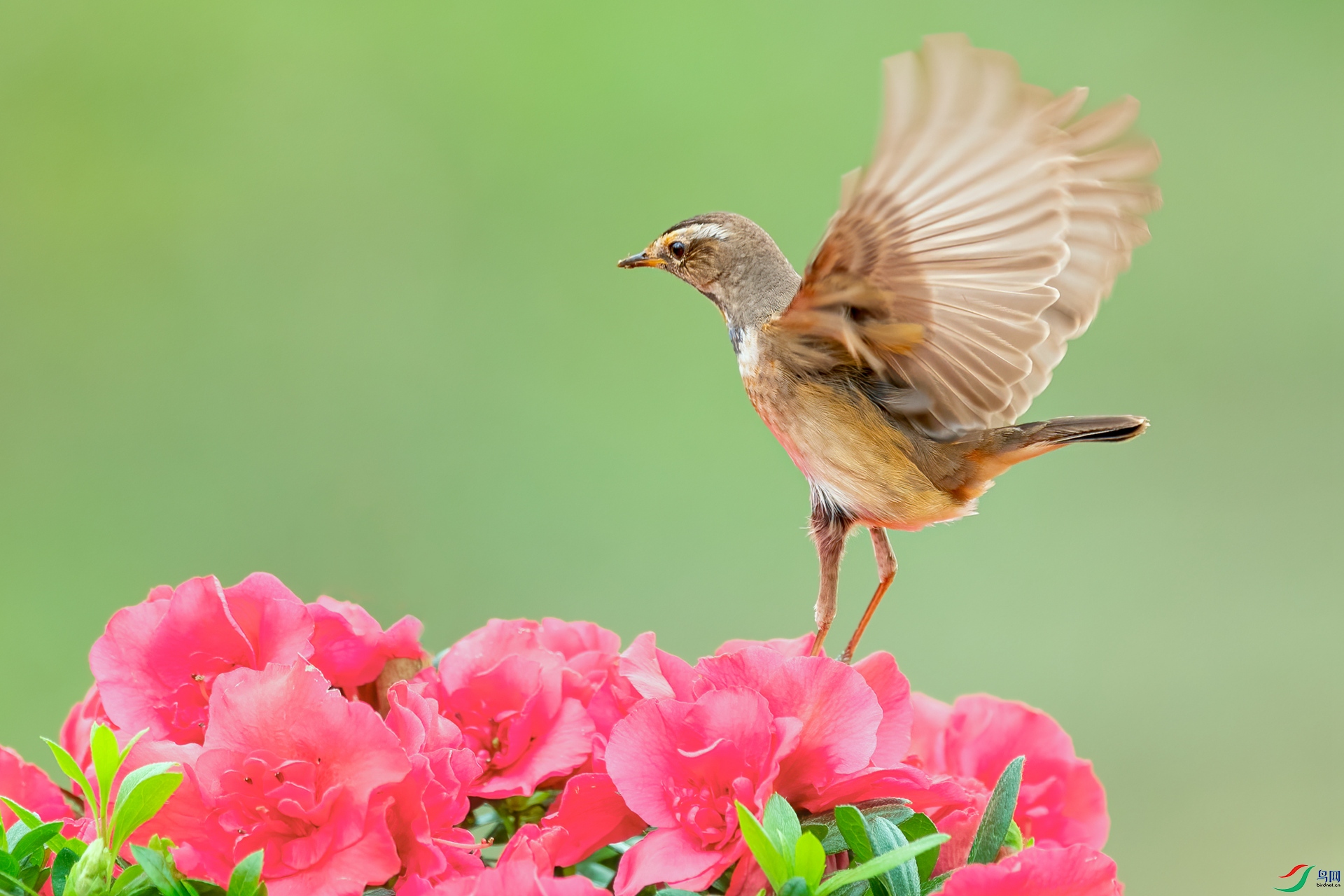 B86I1056 _����.jpg