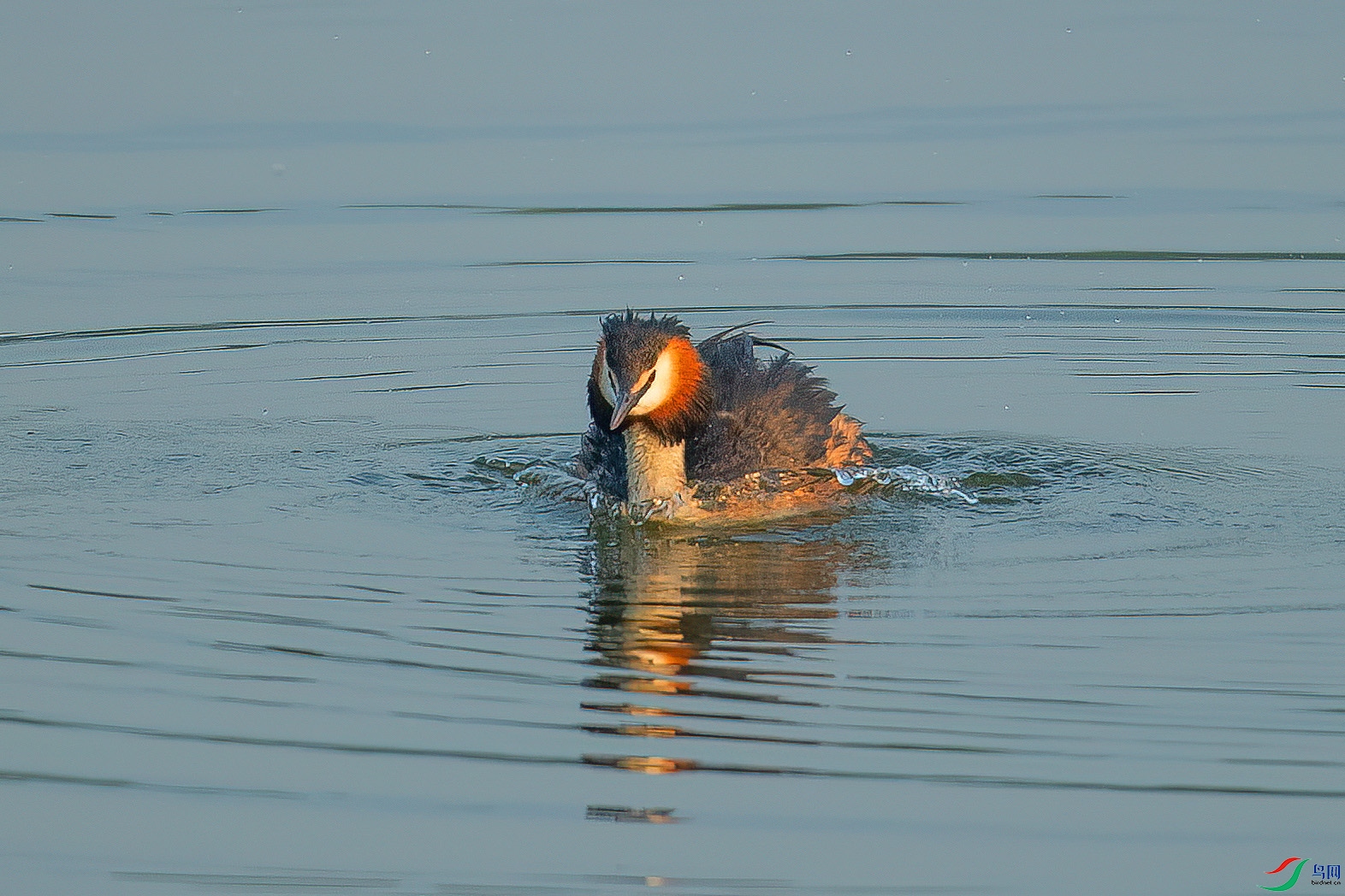 DSC_8290.jpg