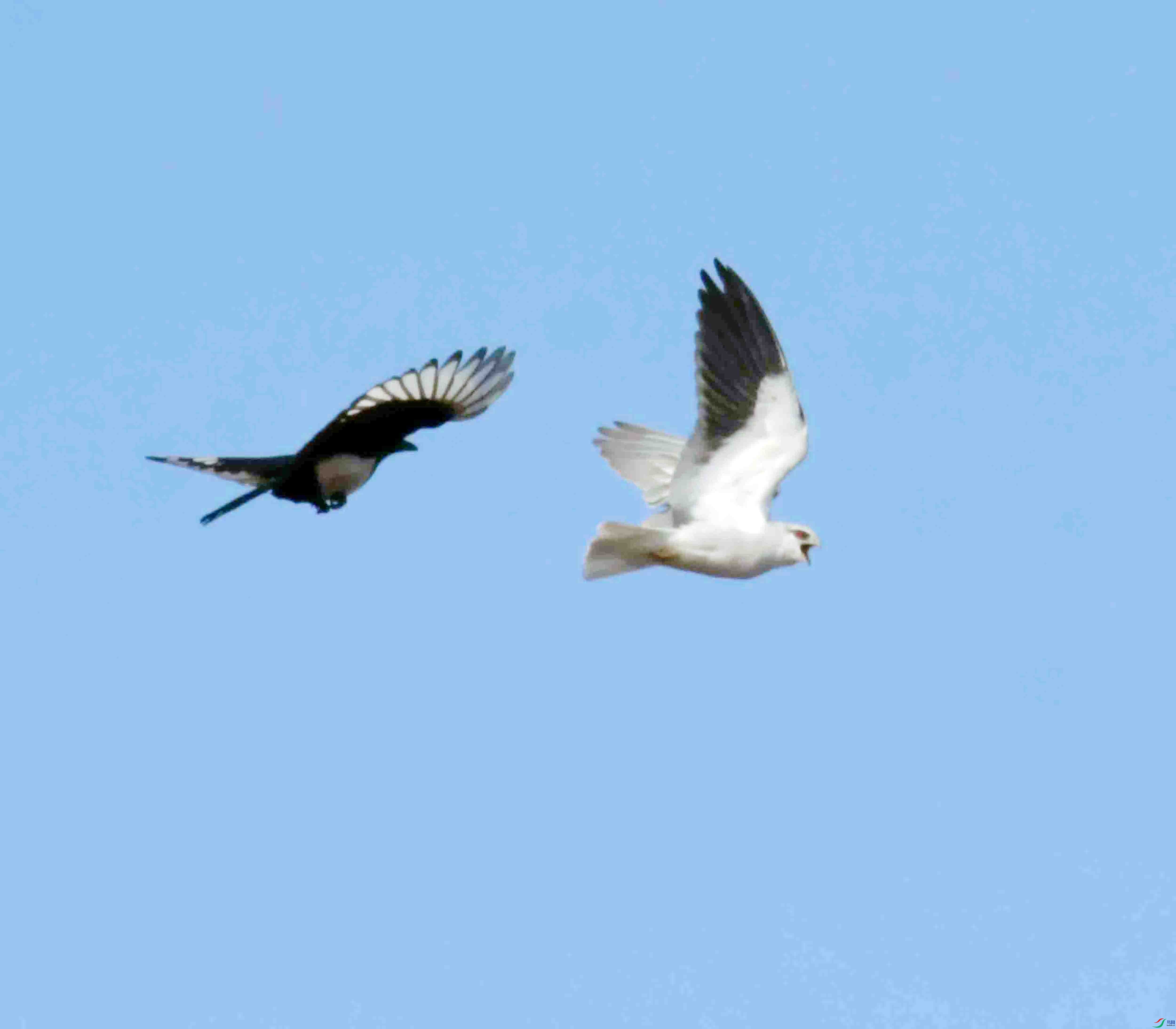 DSC_1188.JPG