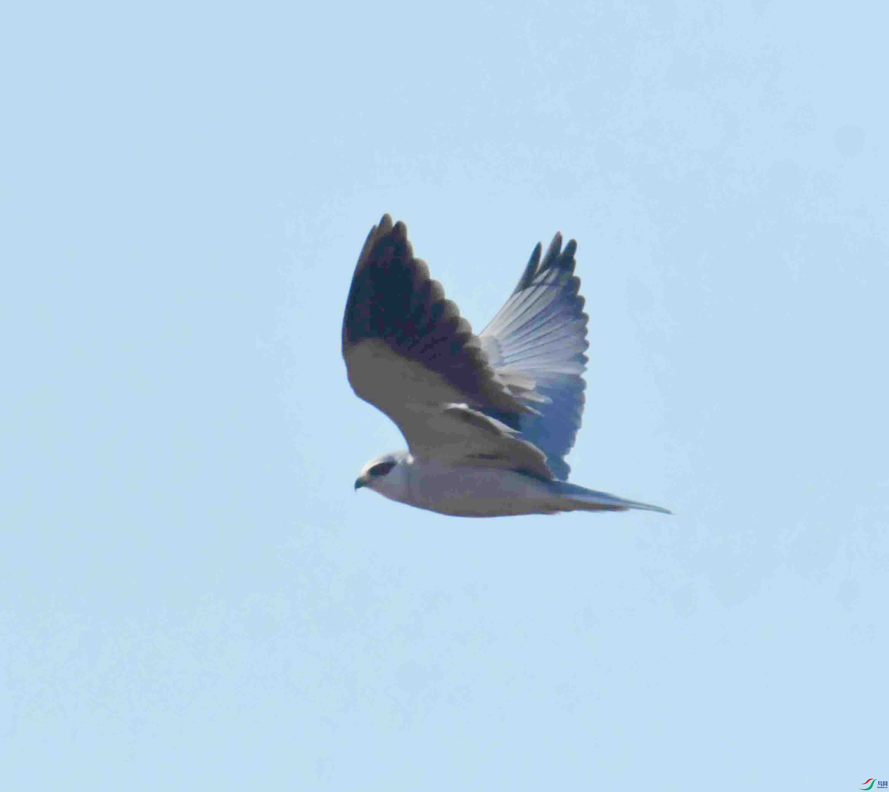 DSC_1204.JPG