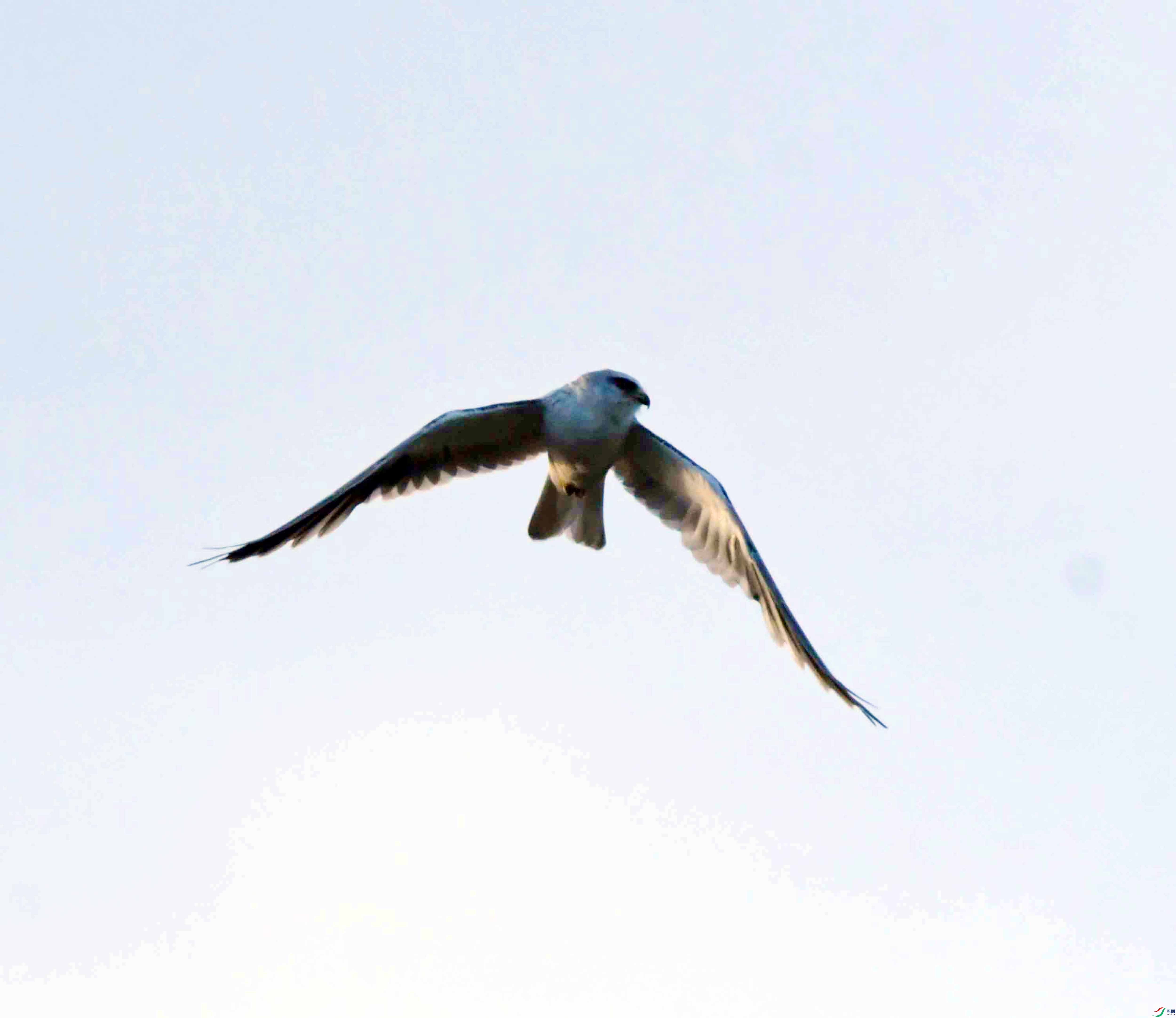 DSC_7885.JPG
