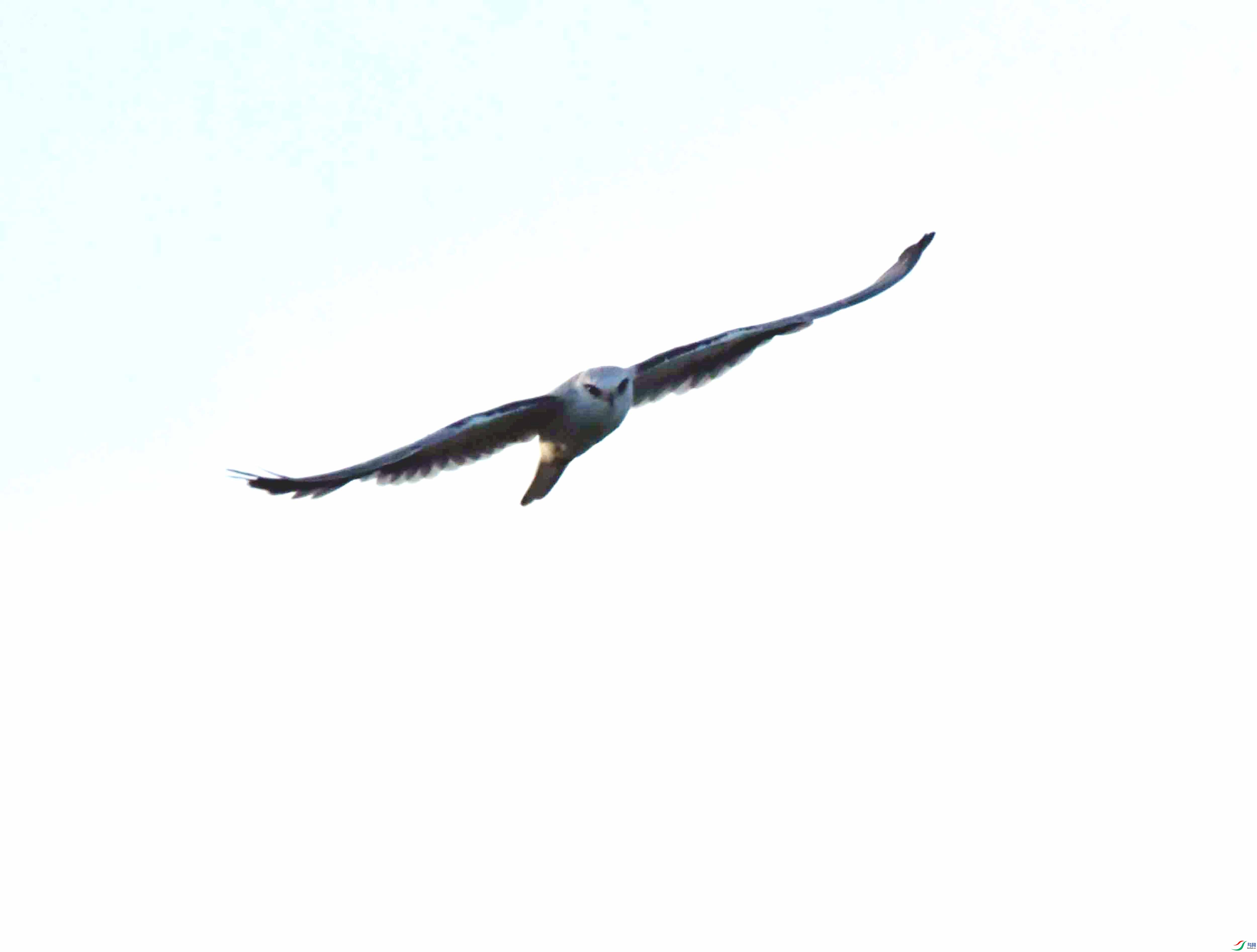 DSC_7874.JPG
