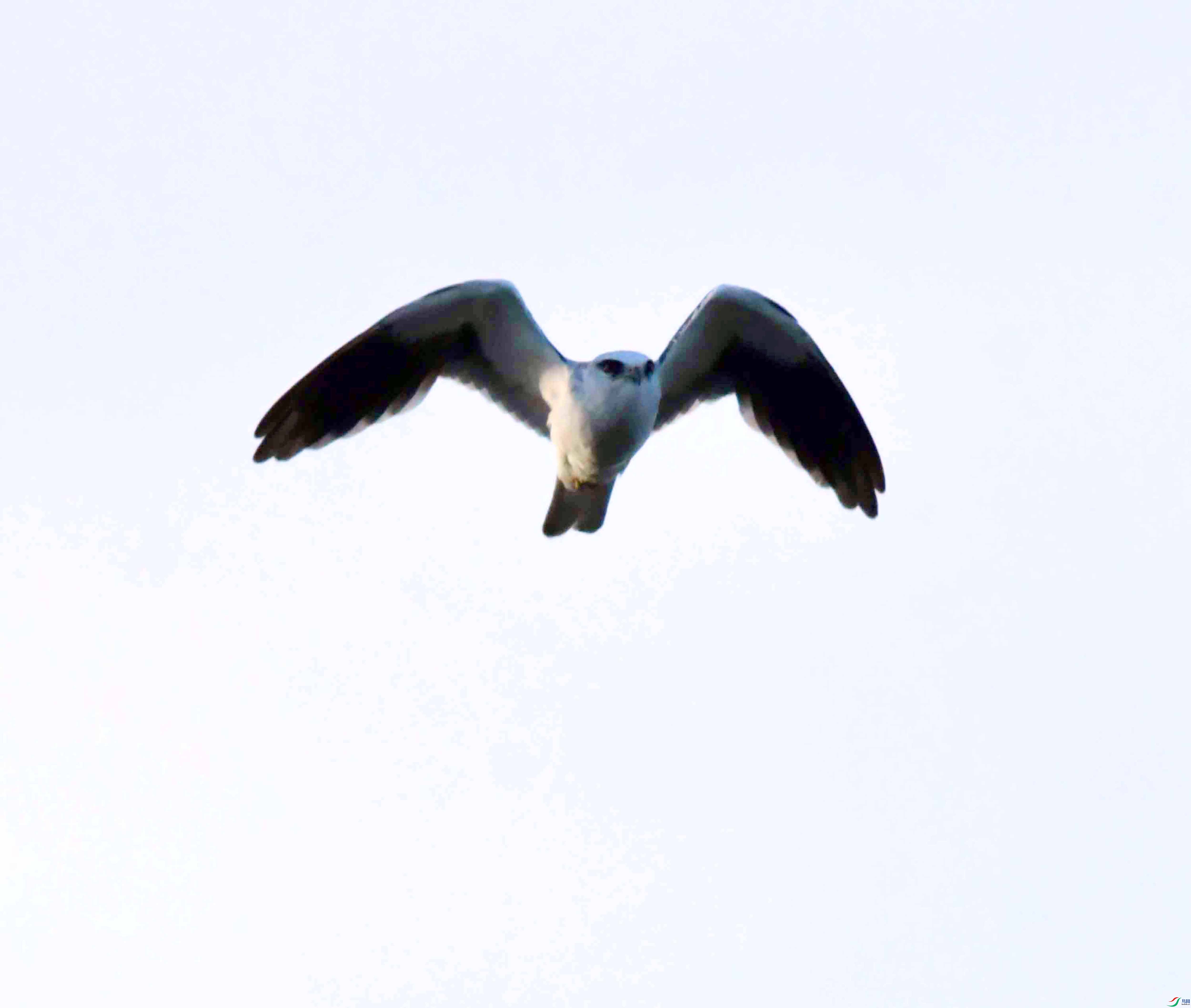 DSC_7888.JPG