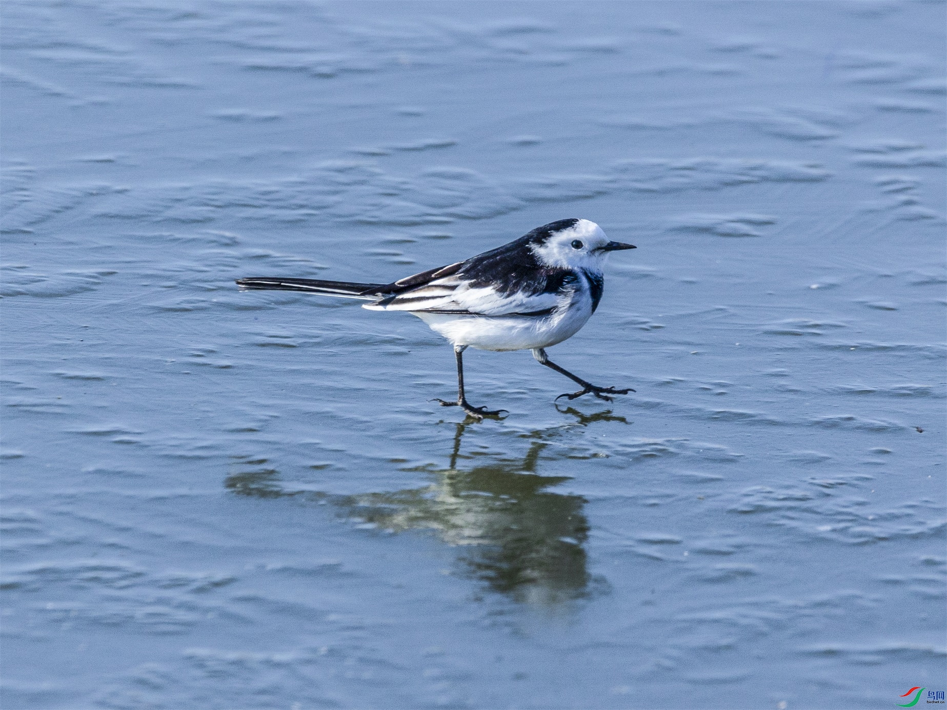 1K3A7998 ����1.jpg