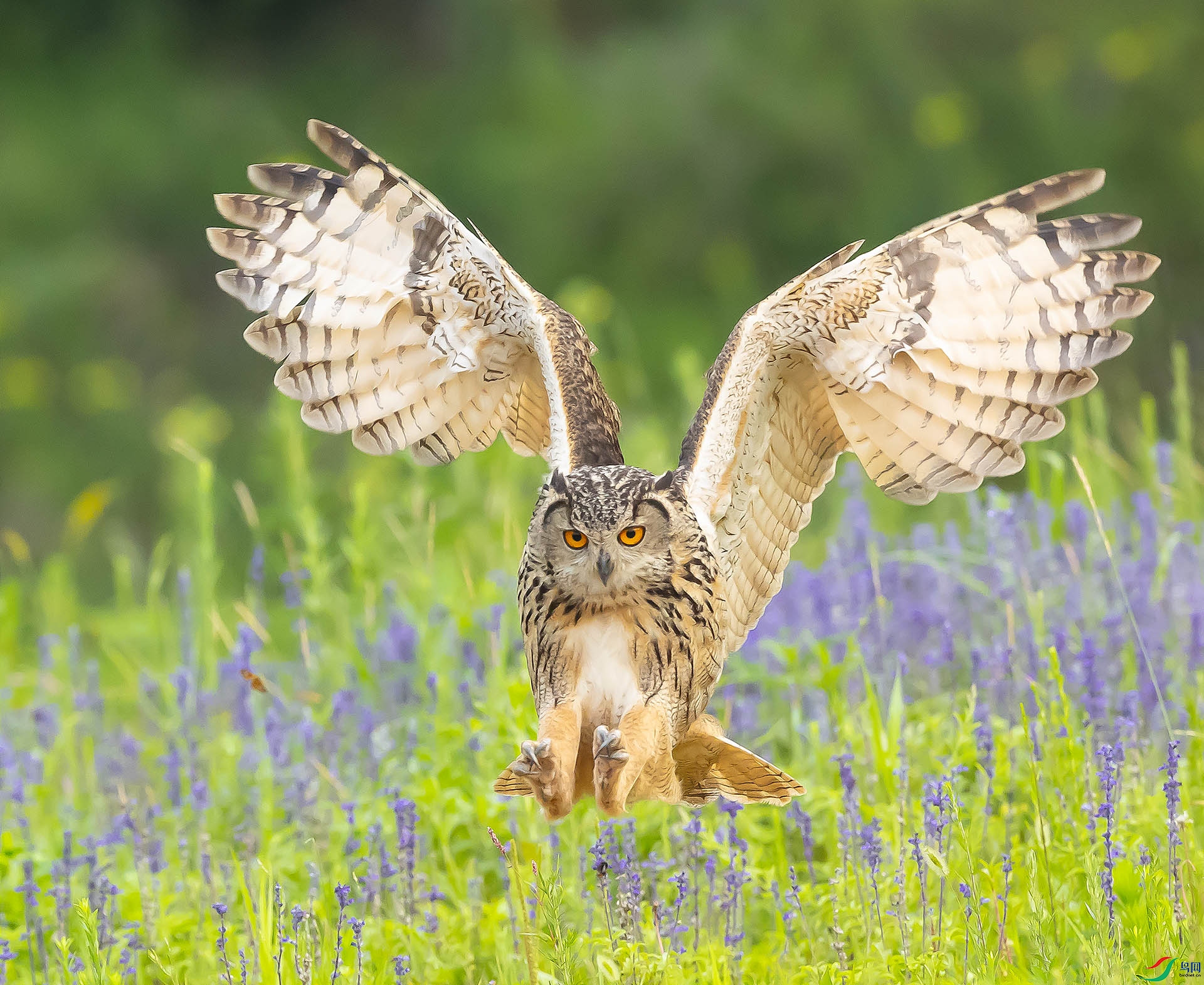 019A89479 ����.jpg