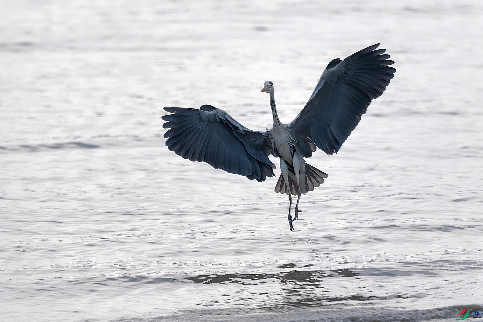 DSC_9215_DxOa.jpg