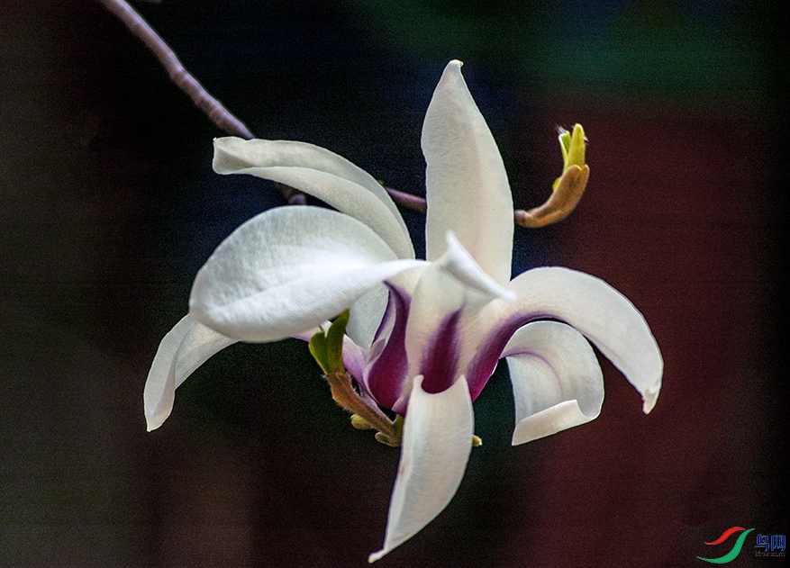 DSC_3039.jpg