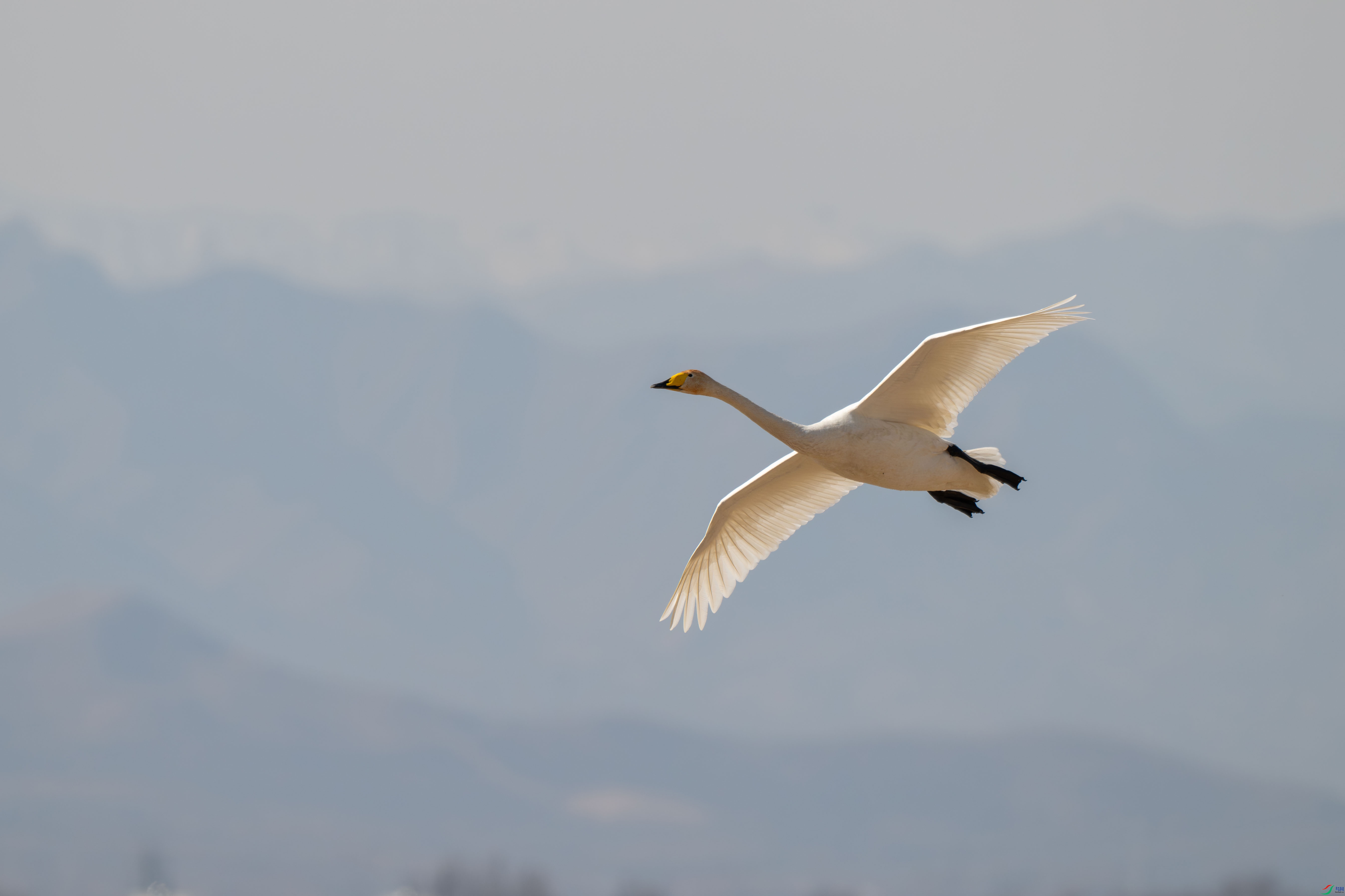 DSC_7176.jpg-.jpg