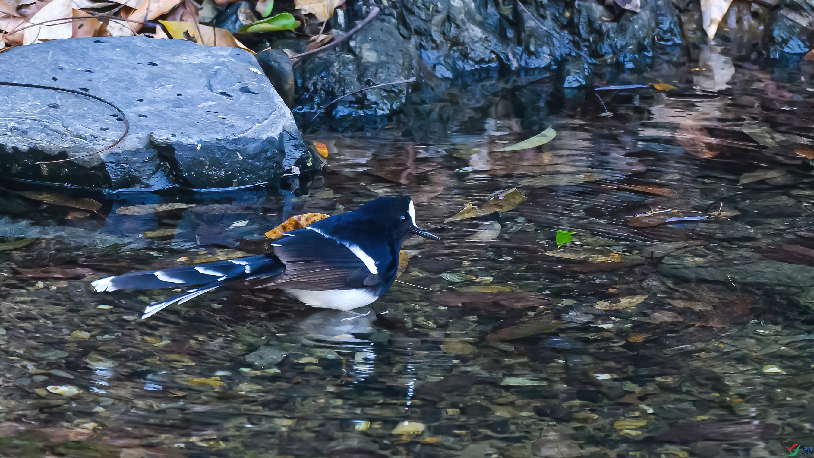 _DSC7028 ����1 - ����-SharpenAI-softness-DeNoiseAI-standard ����.jpg