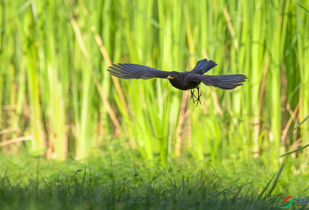 DSC_5956.jpg