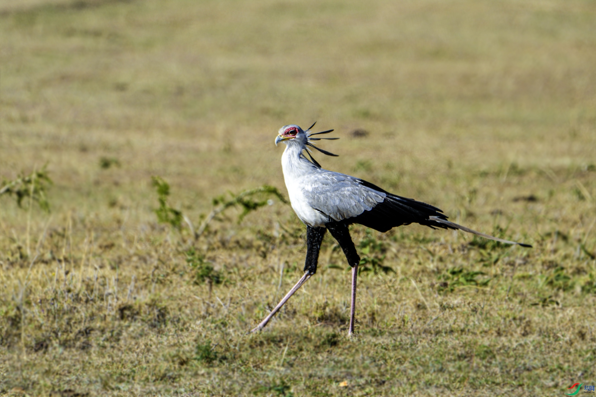 DSC02009 ����.jpg