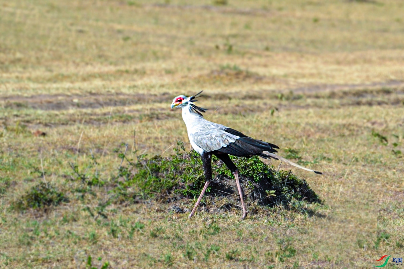 ΢��ͼƬ_20240306202858 ����.jpg