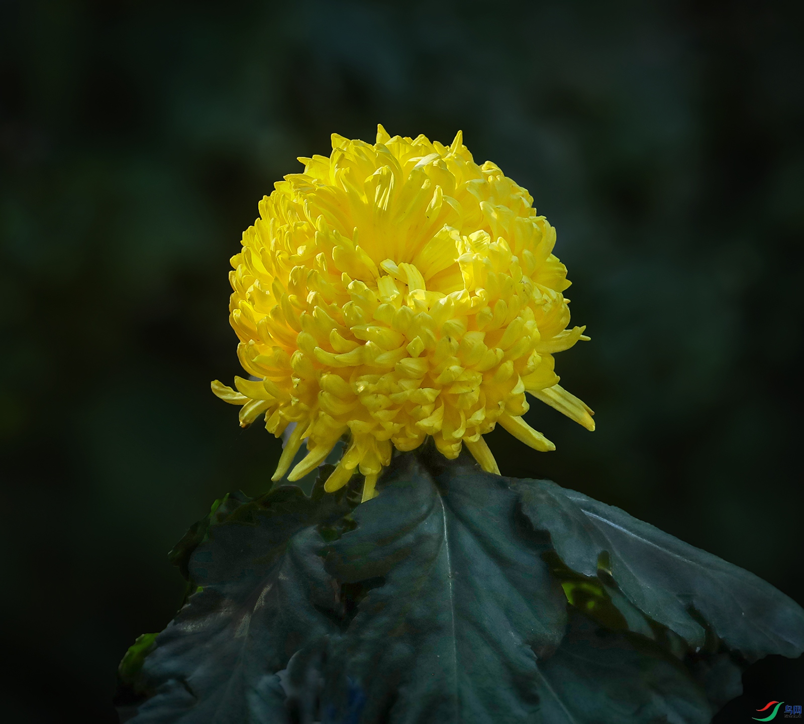 0000583A0341 �ƾŻ� 1000k.jpg