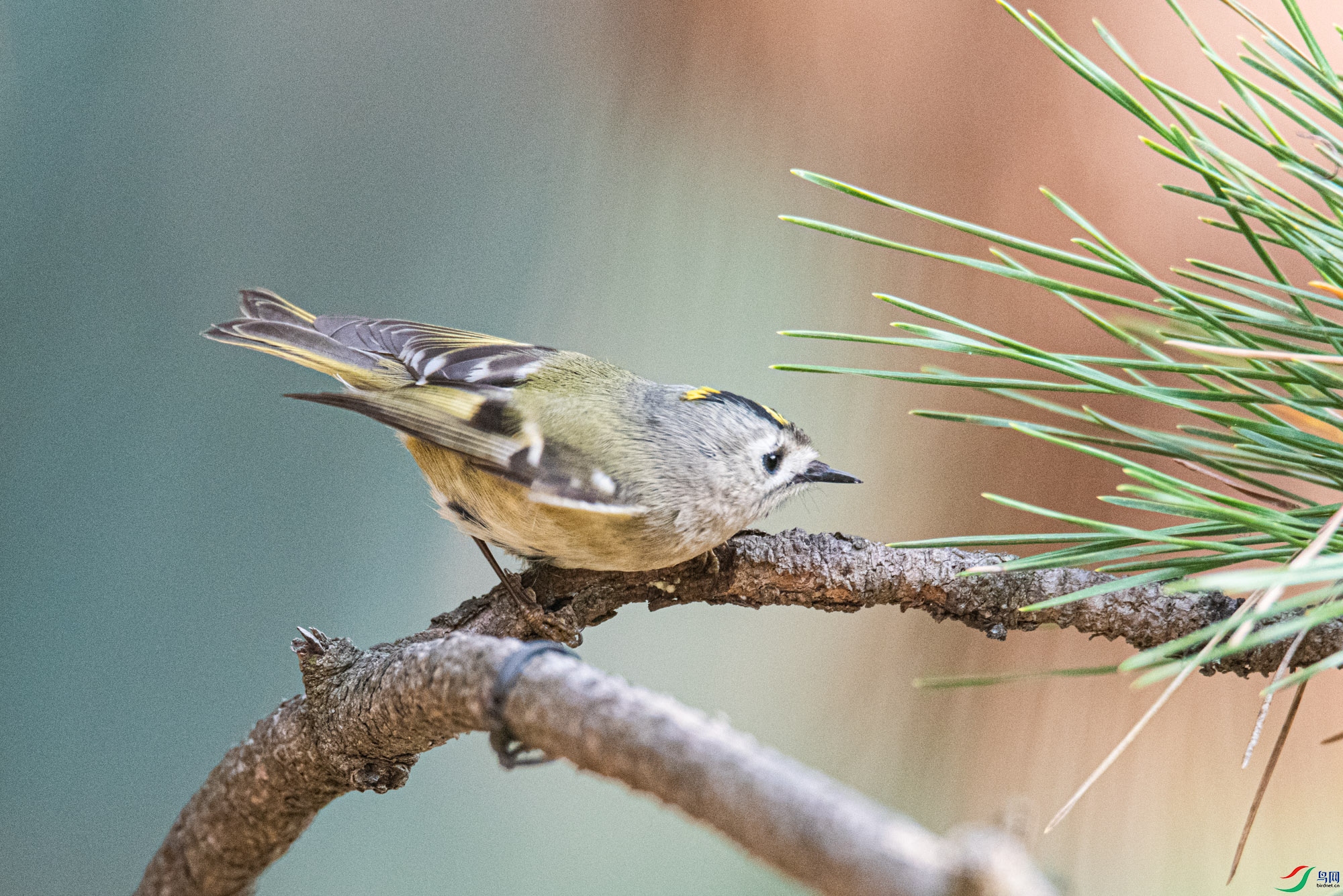 DSC_3093-2.jpg