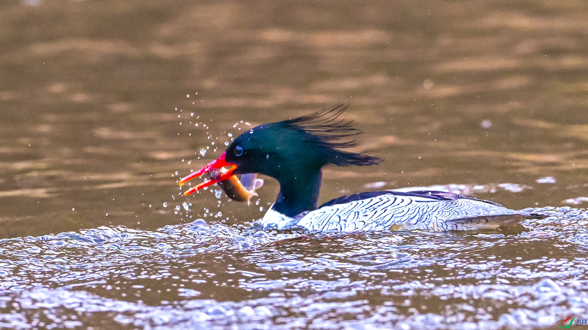 0227 ����.jpg